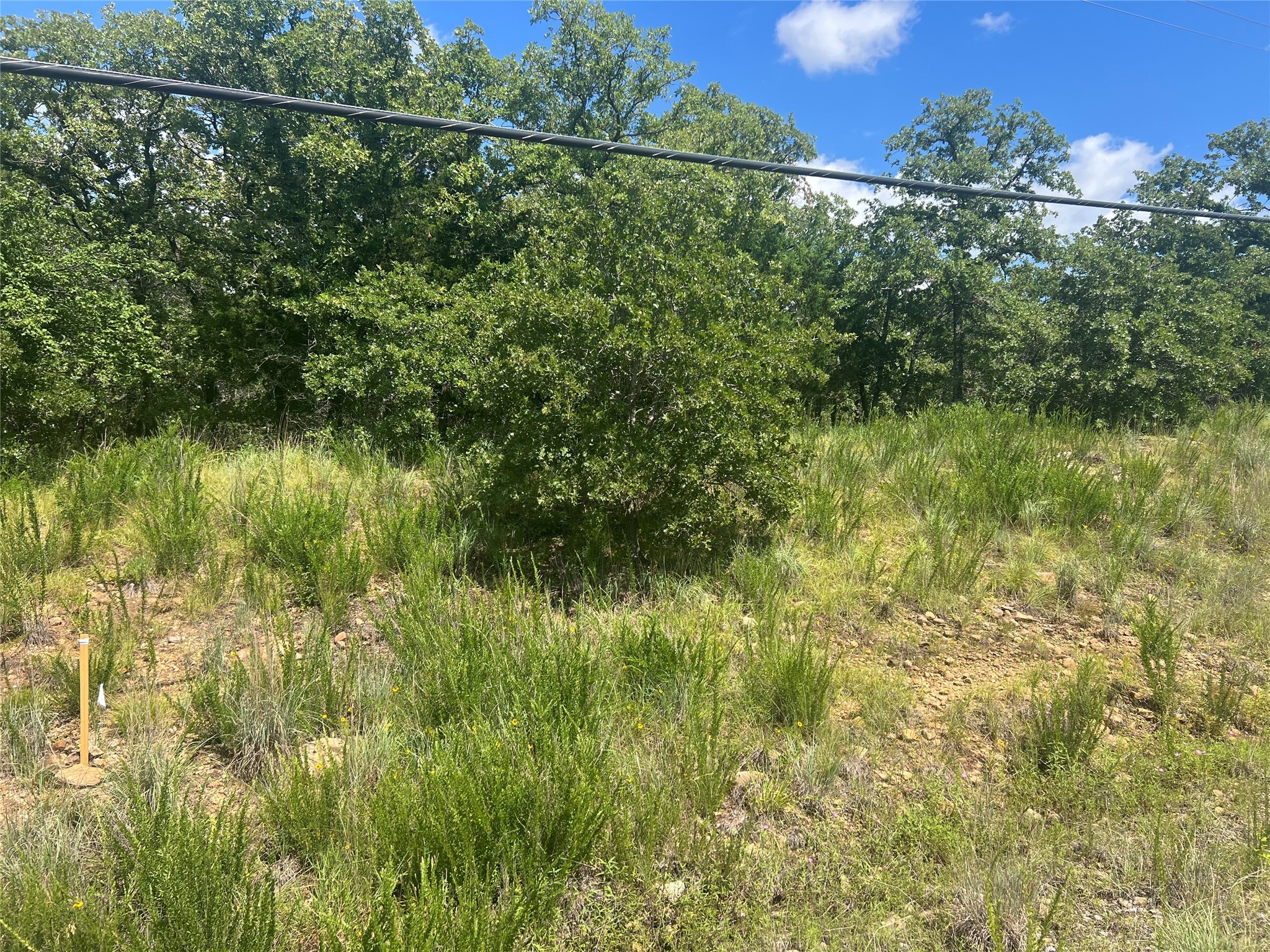 Lot 479 Bluffs Avenue Bowie TX 76230