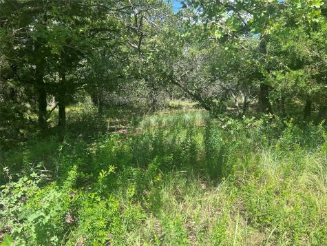 Lot 479 Bluffs Avenue Bowie TX 76230
