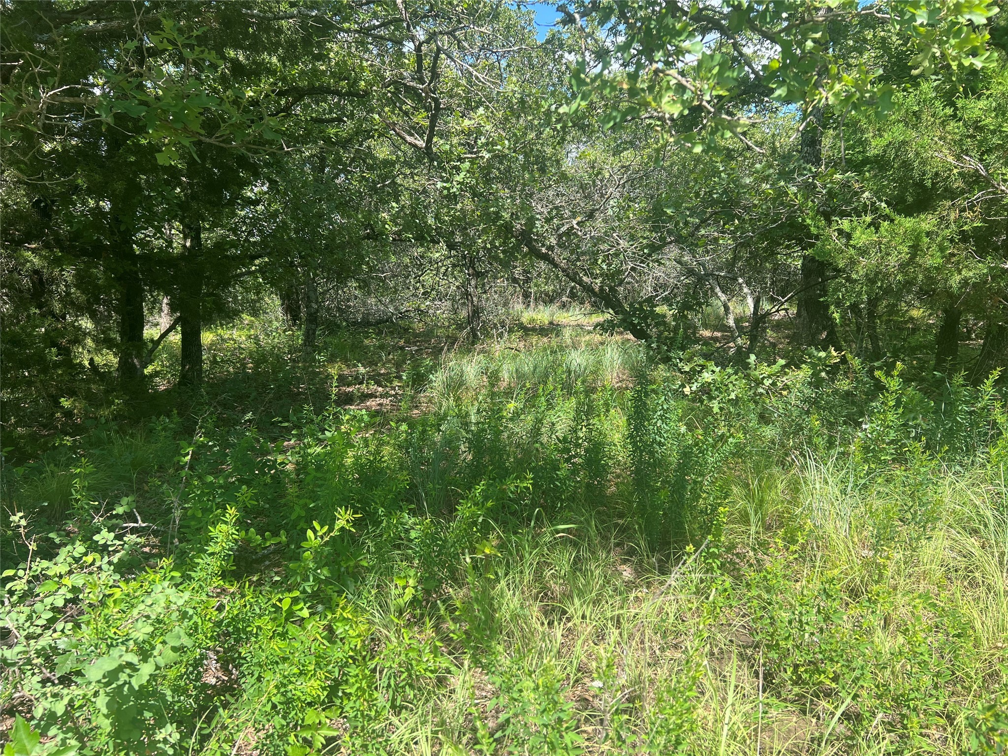 Lot 479 Bluffs Avenue Bowie TX 76230