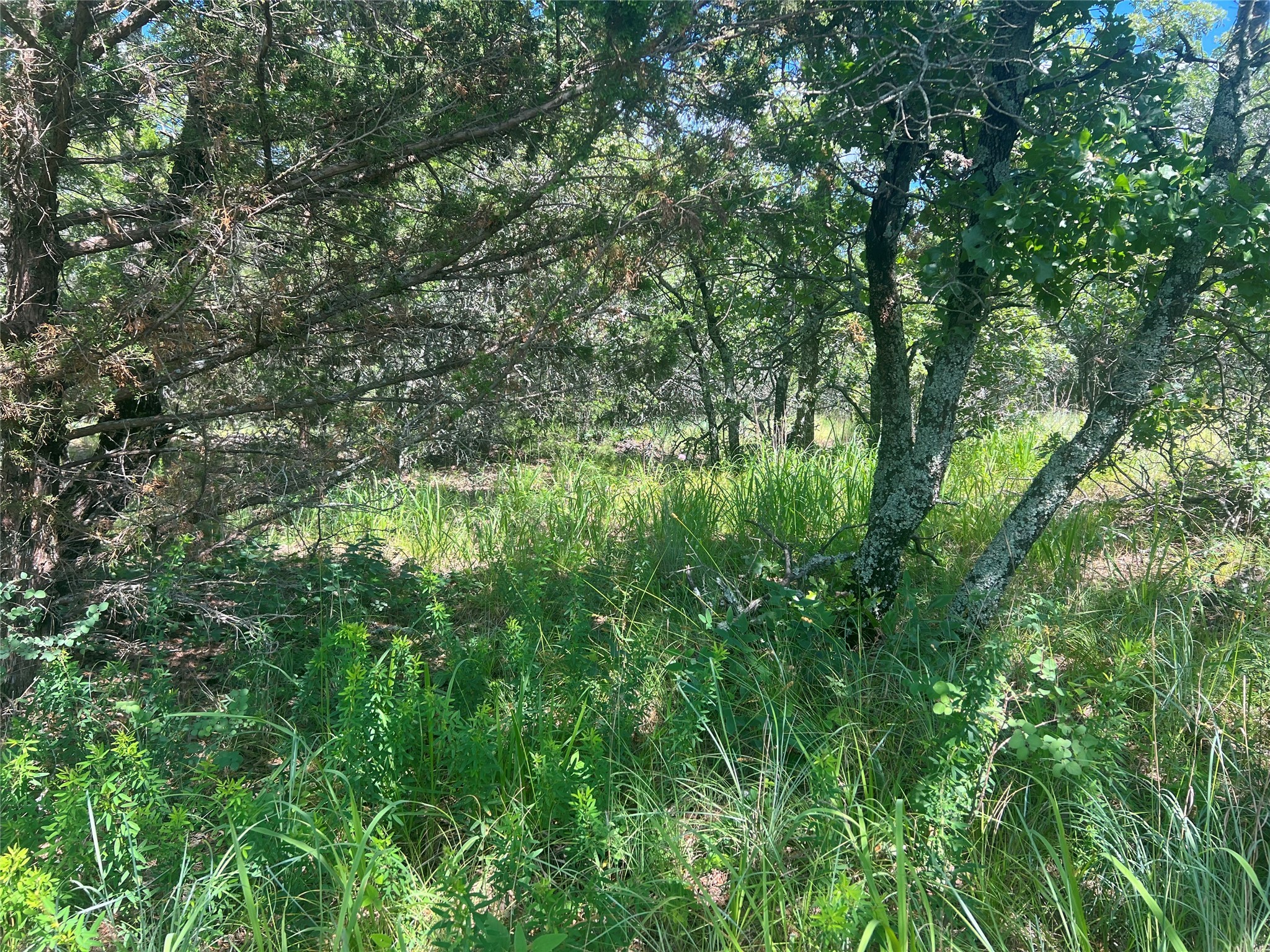 Lot 479 Bluffs Avenue Bowie TX 76230