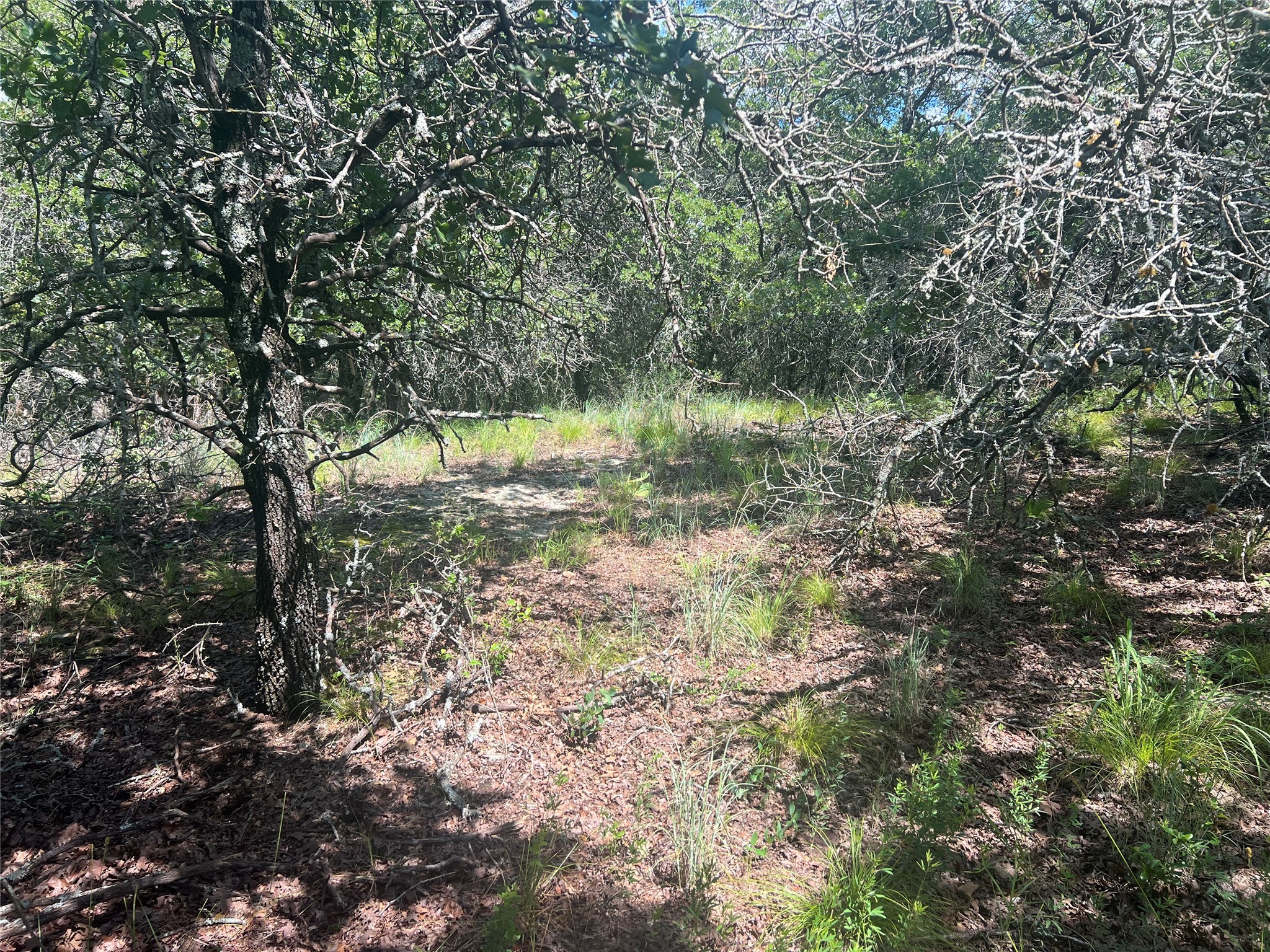 Lot 479 Bluffs Avenue Bowie TX 76230