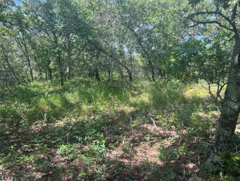 Lot 479 Bluffs Avenue Bowie TX 76230