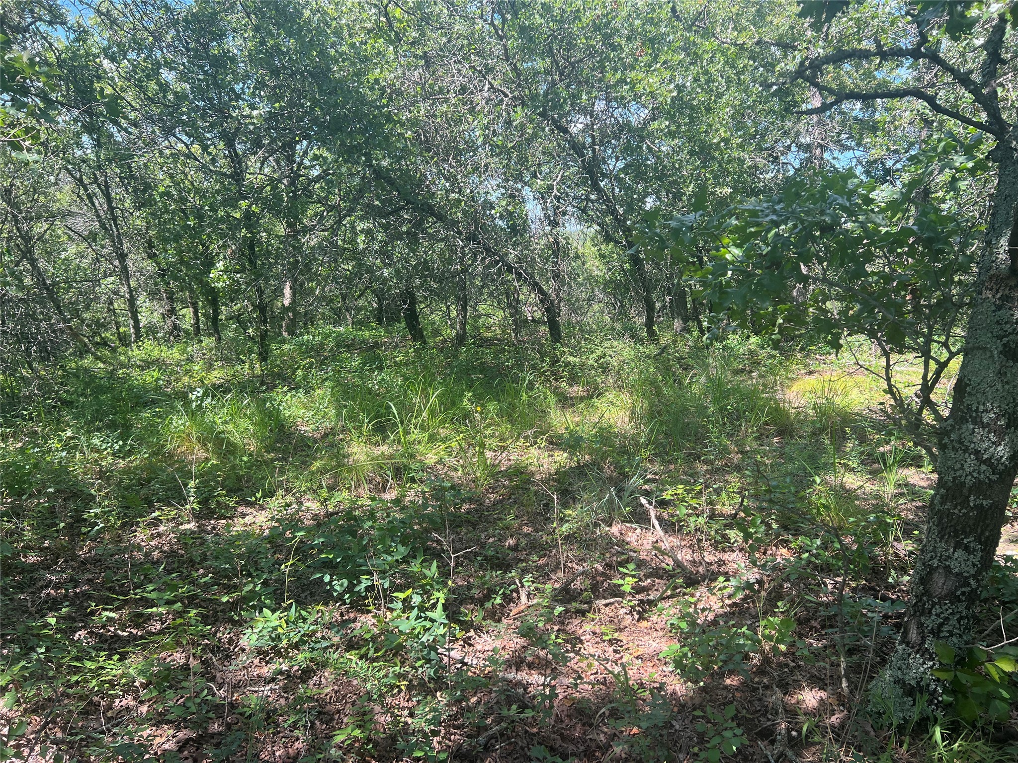 Lot 479 Bluffs Avenue Bowie TX 76230