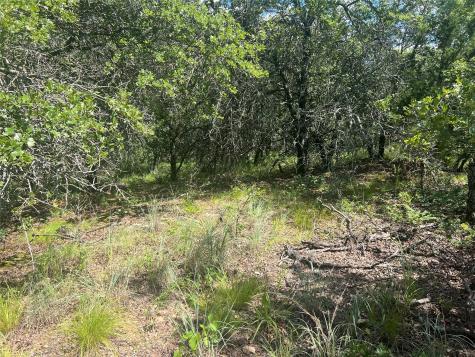 Lot 479 Bluffs Avenue Bowie TX 76230