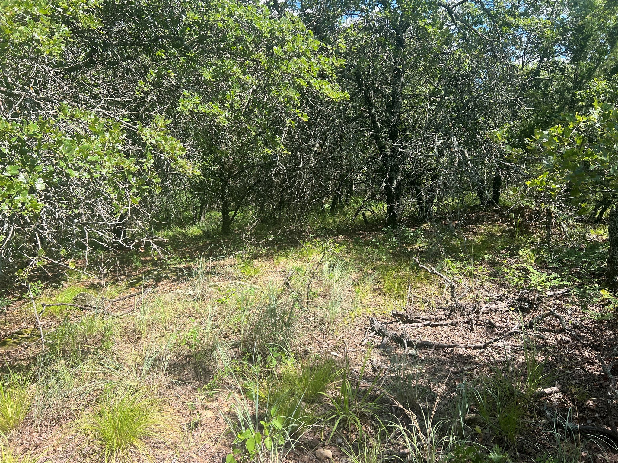 Lot 479 Bluffs Avenue Bowie TX 76230