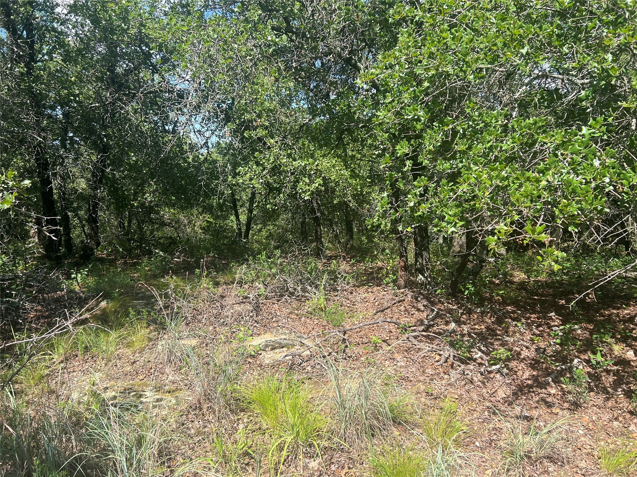 Lot 479 Bluffs Avenue Bowie TX 76230