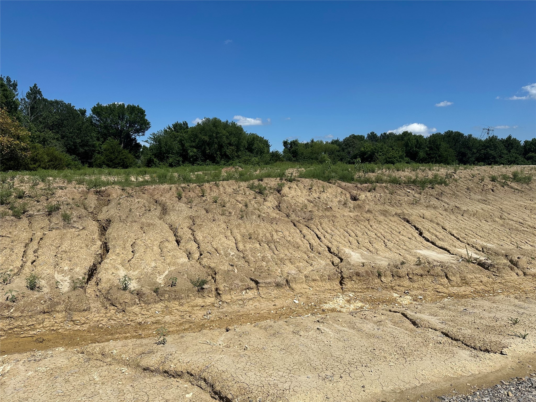 Lot 7 County Road 1110 Farmersville TX 75442