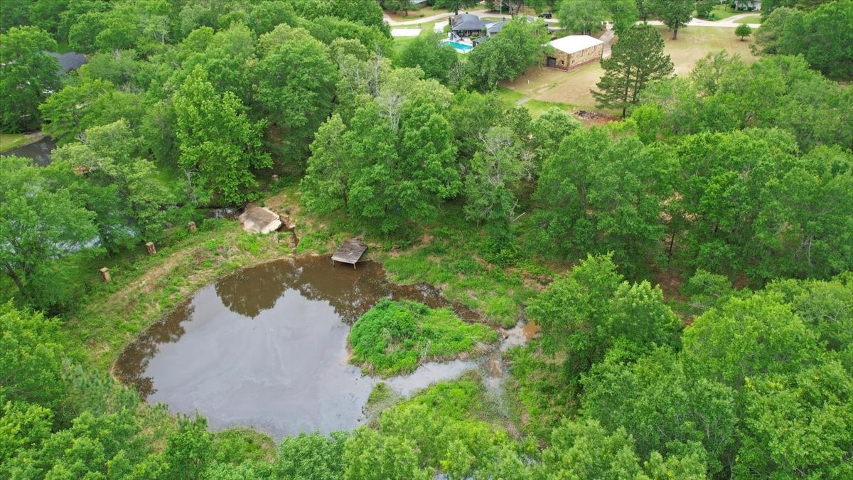 380 Timber Lakes Drive Powderly TX 75473