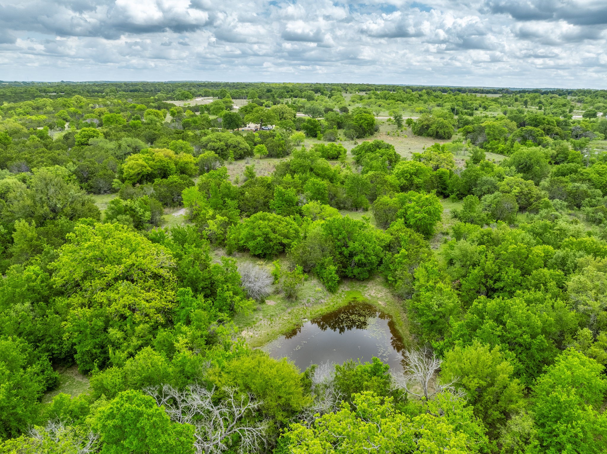 Lot 48 New Hope Road Palo Pinto TX 76474