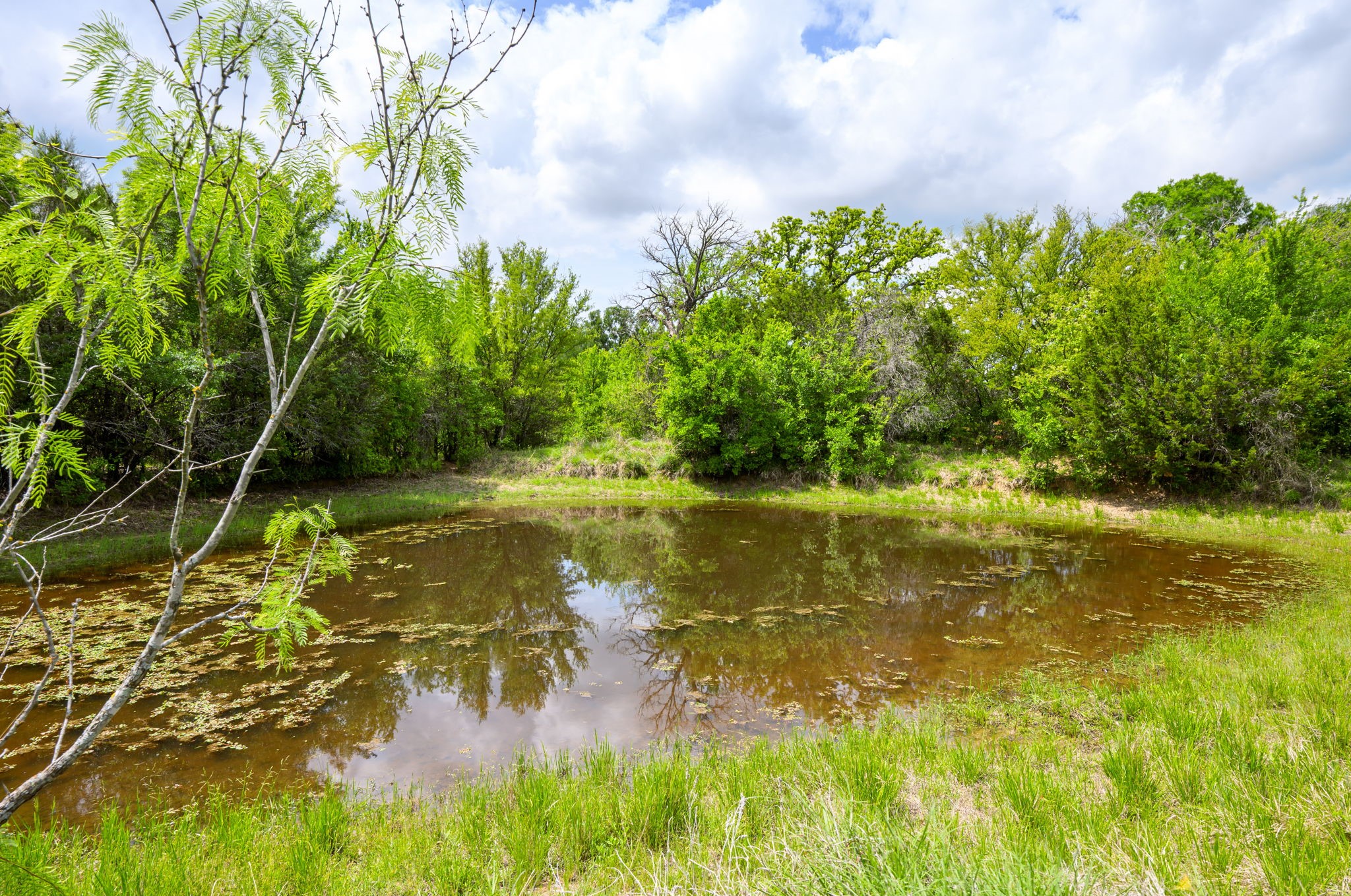 Lot 48 New Hope Road Palo Pinto TX 76474
