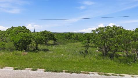 235 Neeleys Slough Drive Graford TX 76449