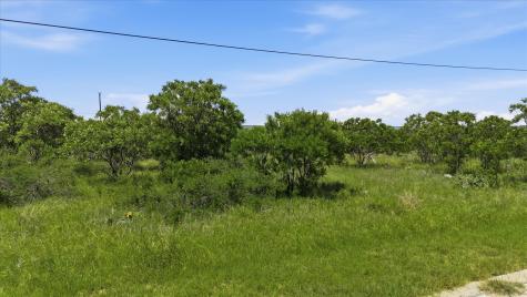 235 Neeleys Slough Drive Graford TX 76449