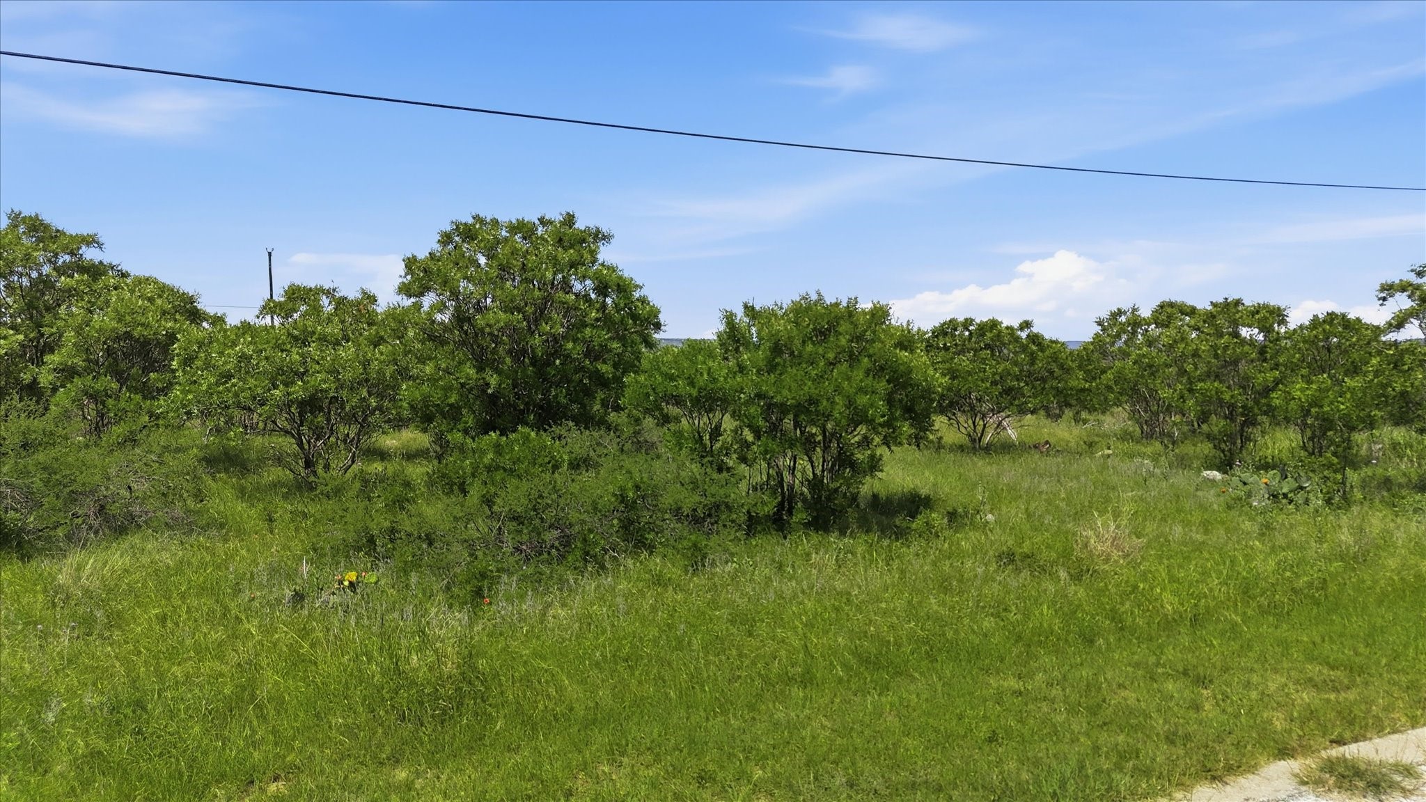 235 Neeleys Slough Drive Graford TX 76449