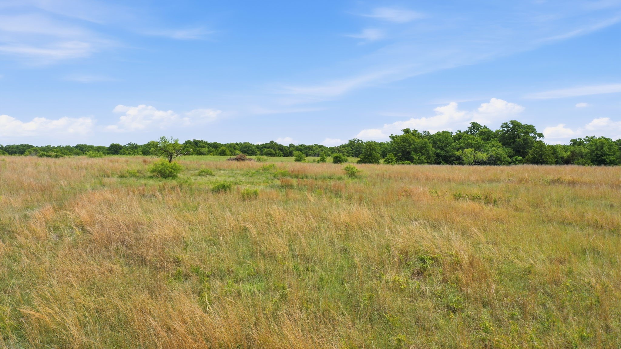 2051 Mustang Ridge Perrin TX 76486