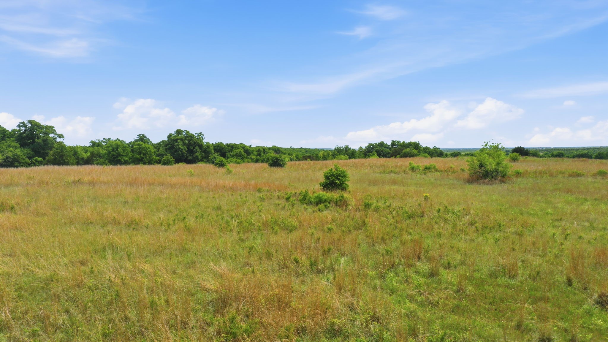 2051 Mustang Ridge Perrin TX 76486