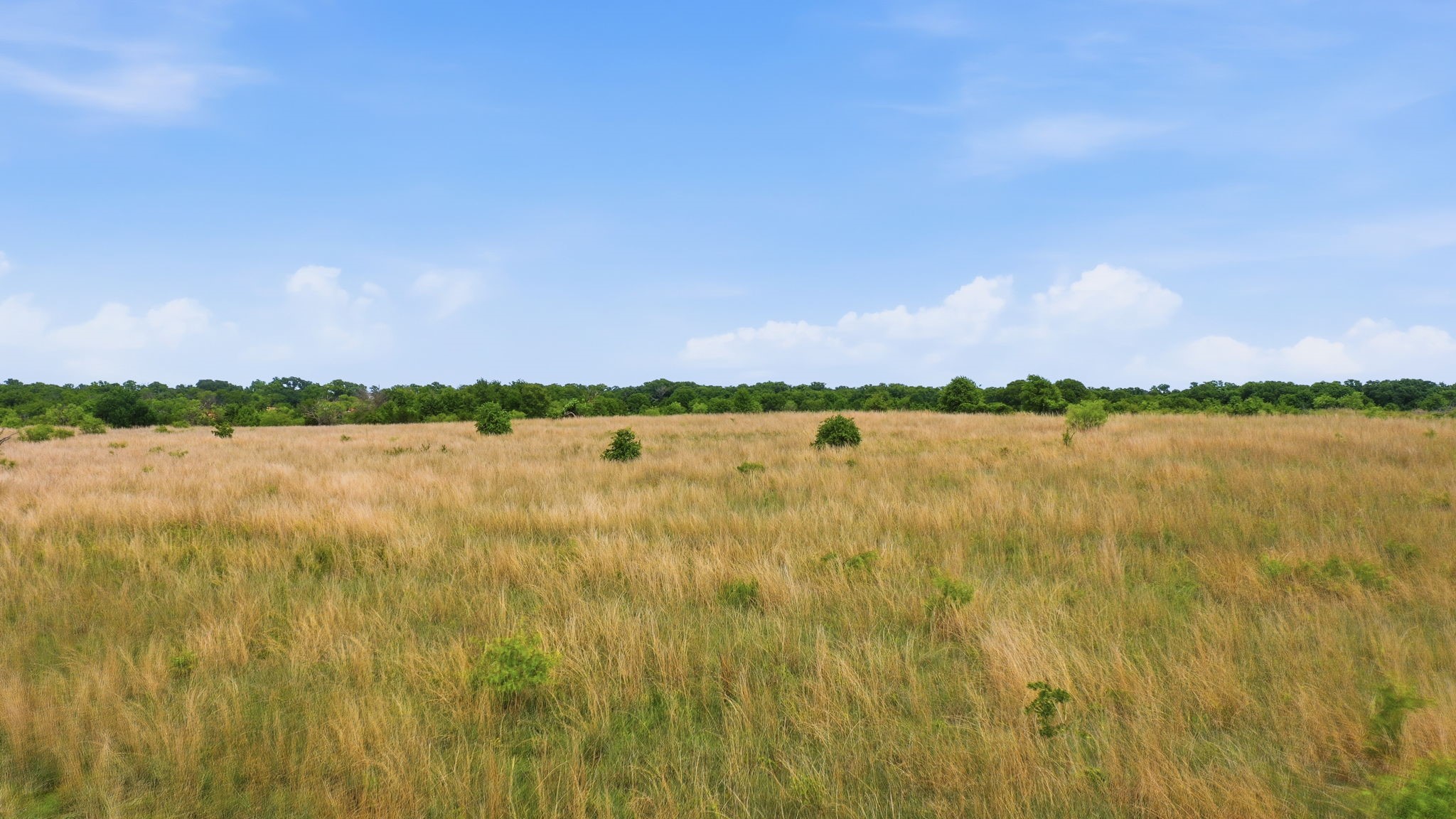 2051 Mustang Ridge Perrin TX 76486