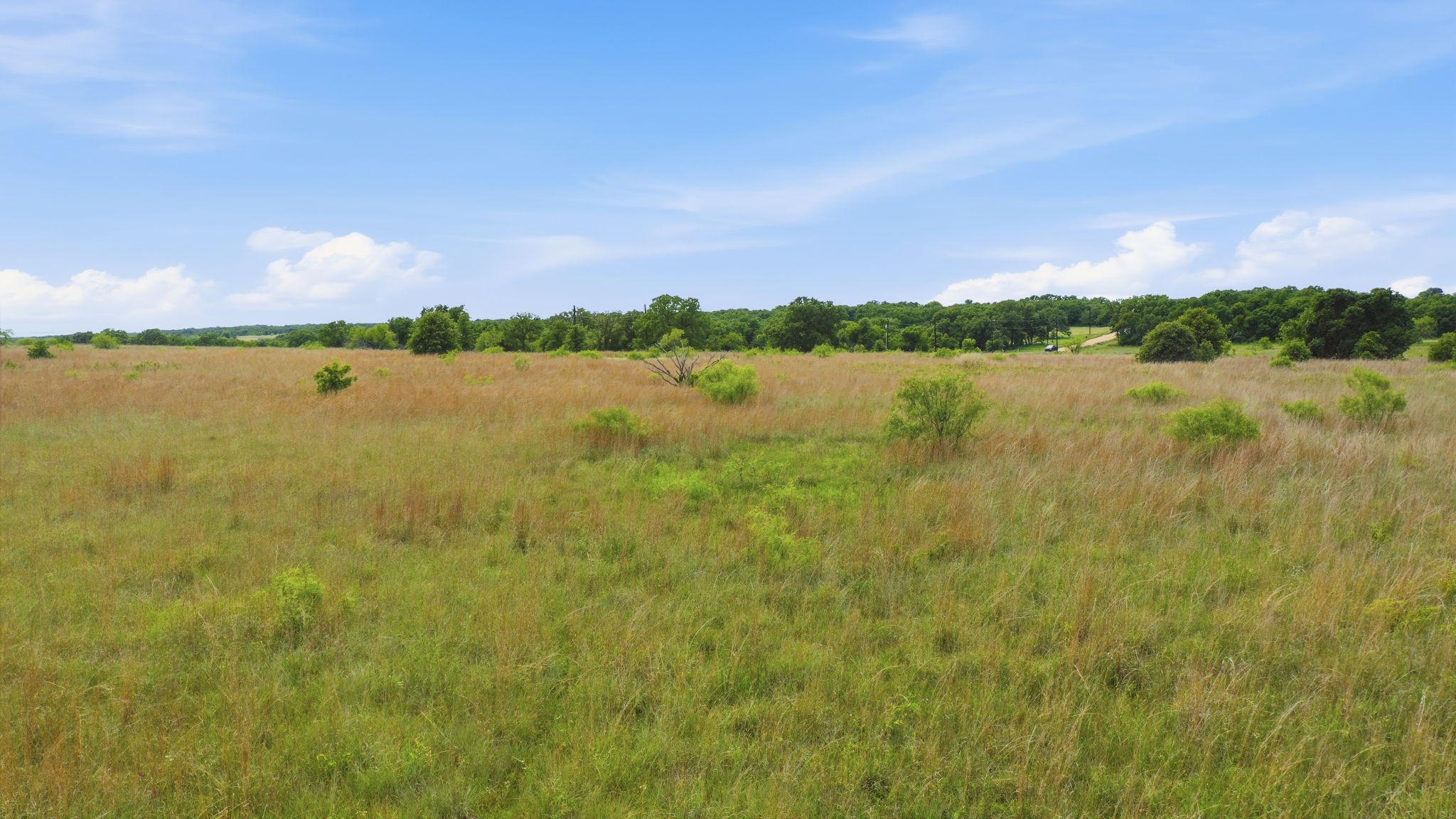 2051 Mustang Ridge Perrin TX 76486