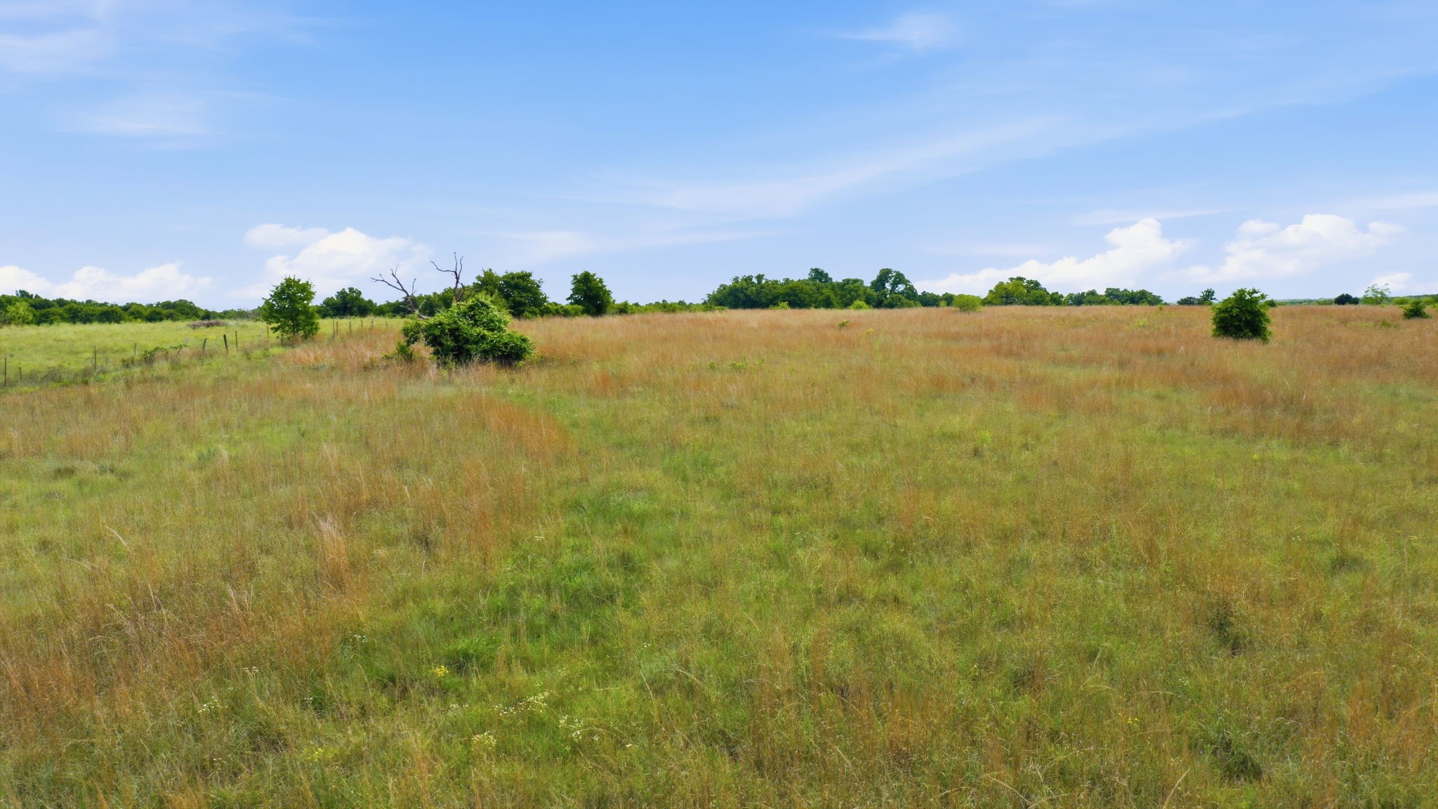 2051 Mustang Ridge Perrin TX 76486