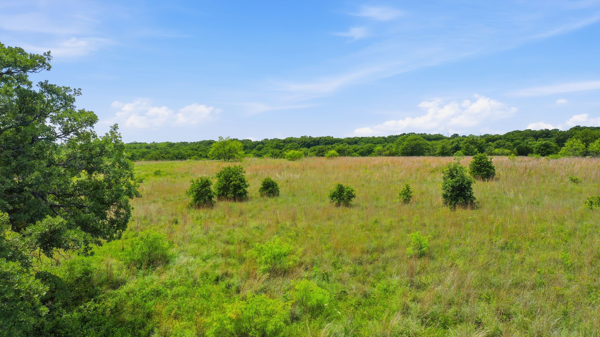2051 Mustang Ridge Perrin TX 76486