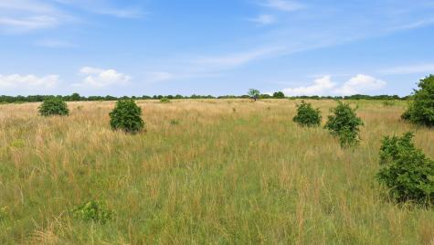 2051 Mustang Ridge Perrin TX 76486