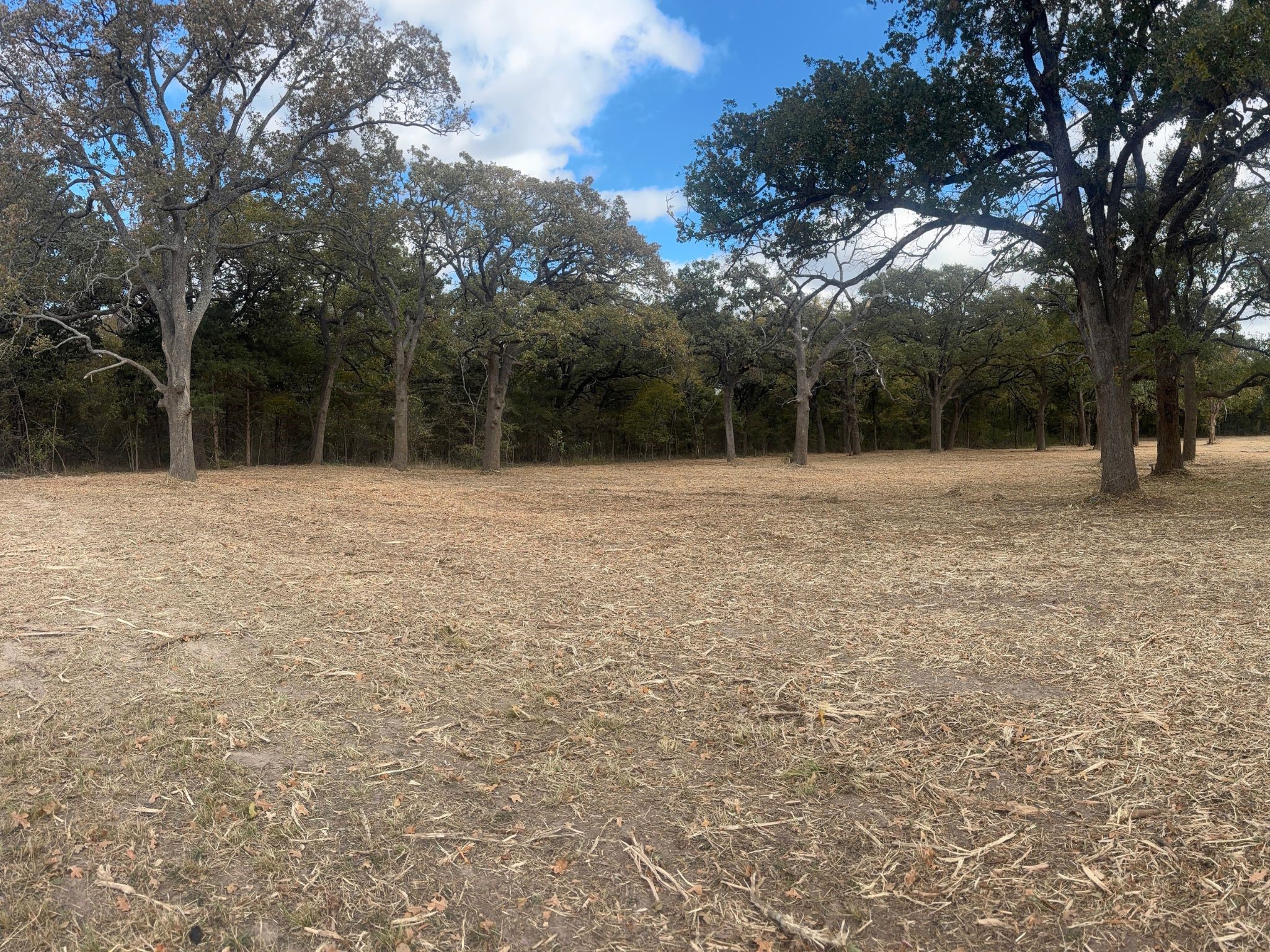 5.2 Acres Fm 1570 Greenville TX 75402