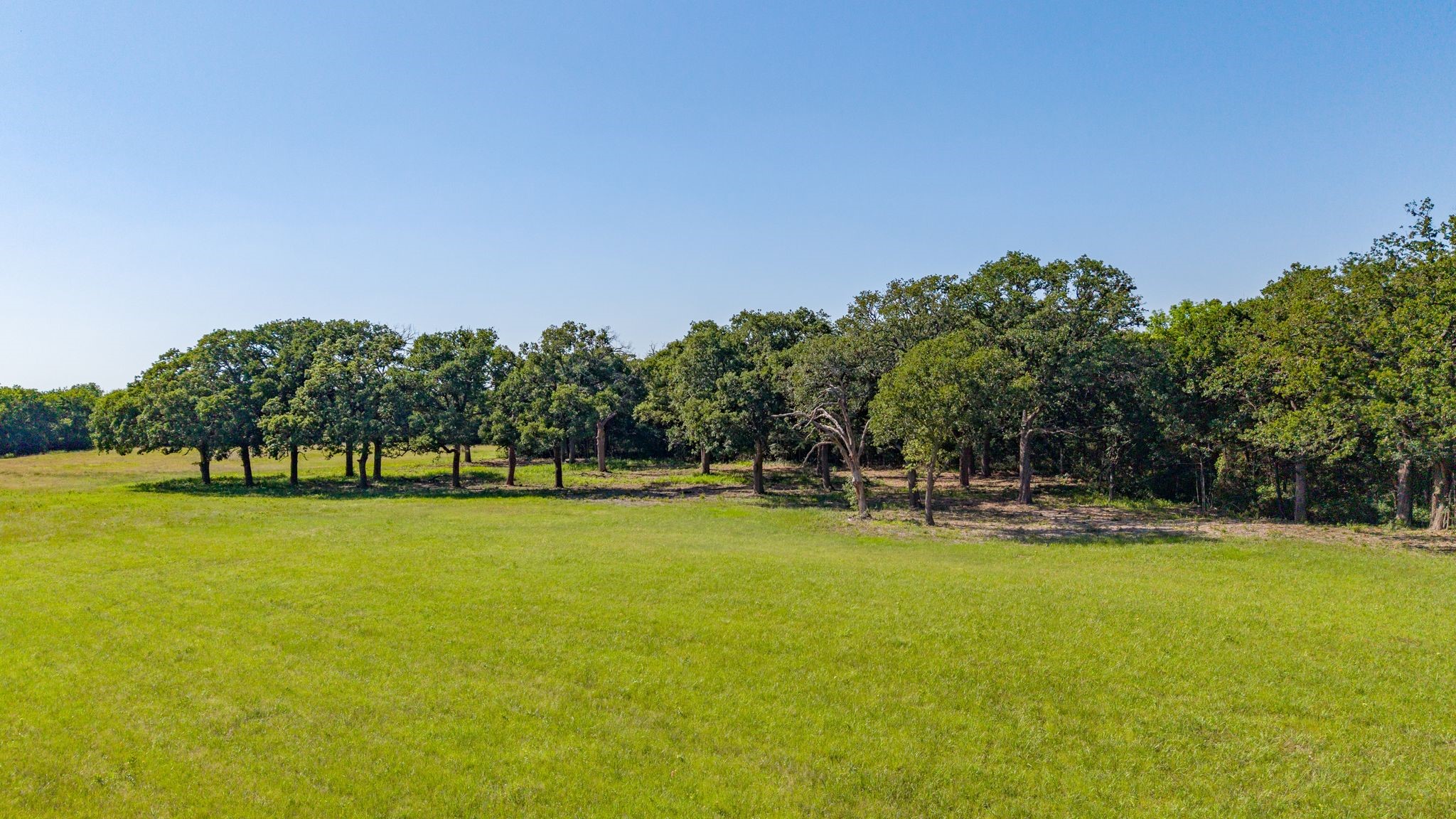 5.2 Acres Fm 1570 Greenville TX 75402