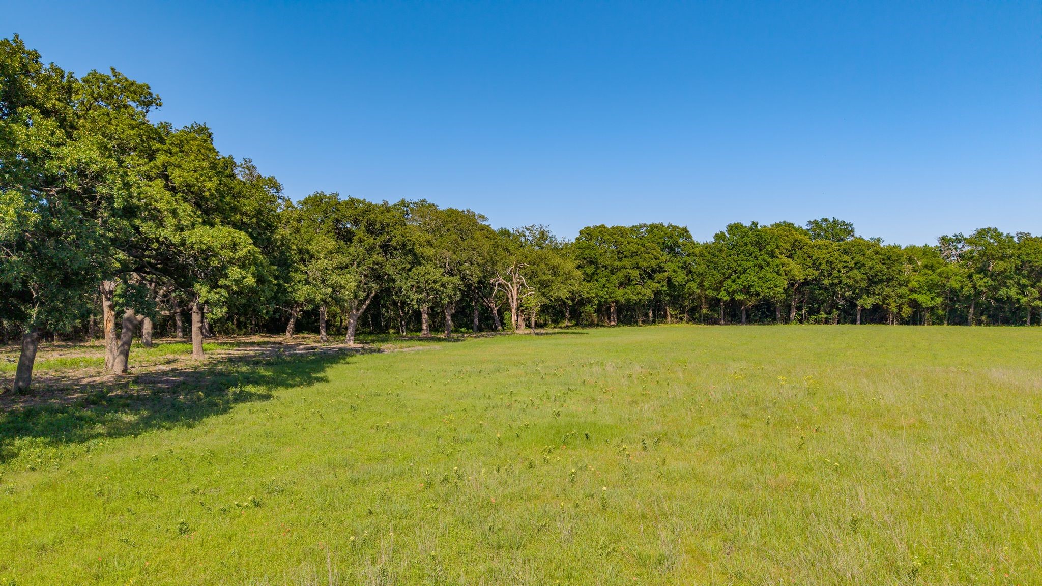 5.2 Acres Fm 1570 Greenville TX 75402