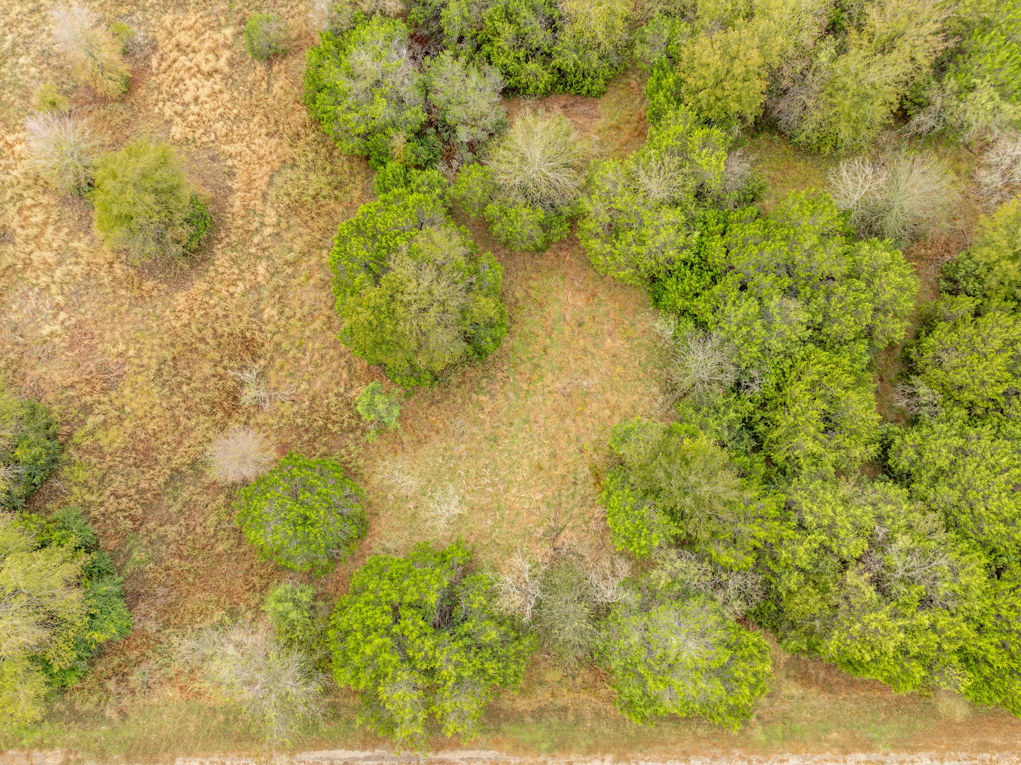 40050 Elmwood Drive Whitney TX 76692