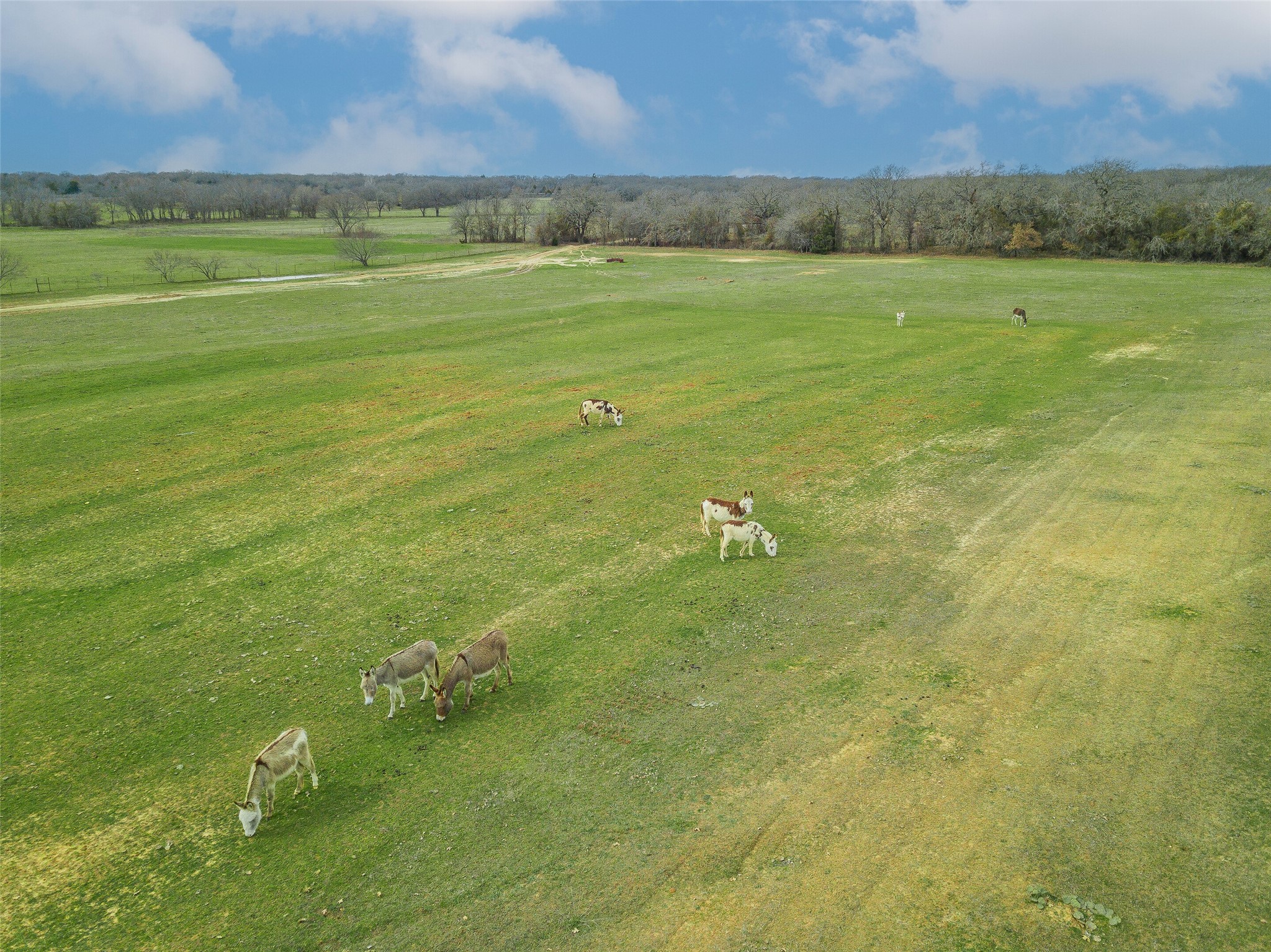 2549 N Highway 101 Chico TX 76431