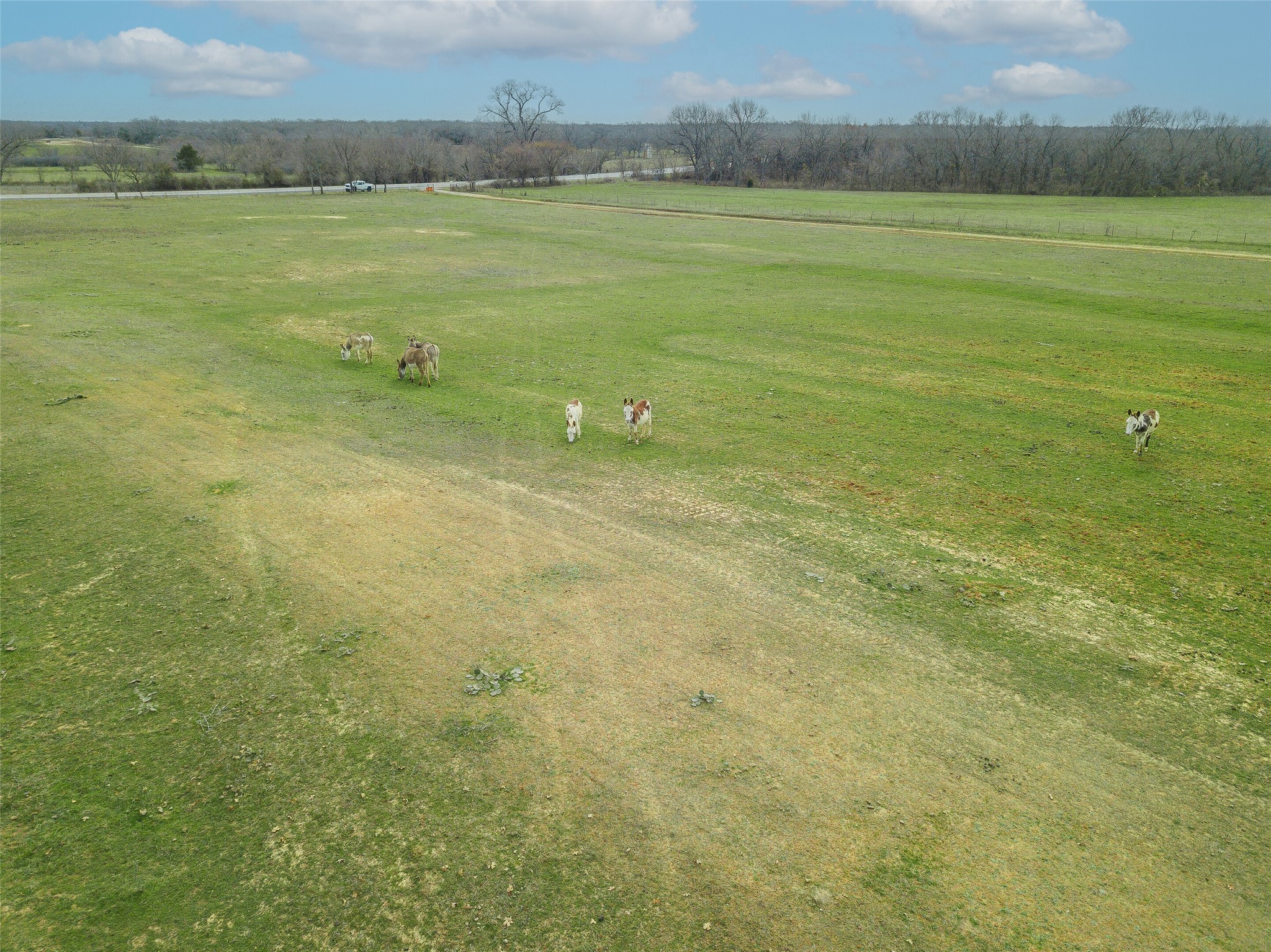2549 N Highway 101 Chico TX 76431