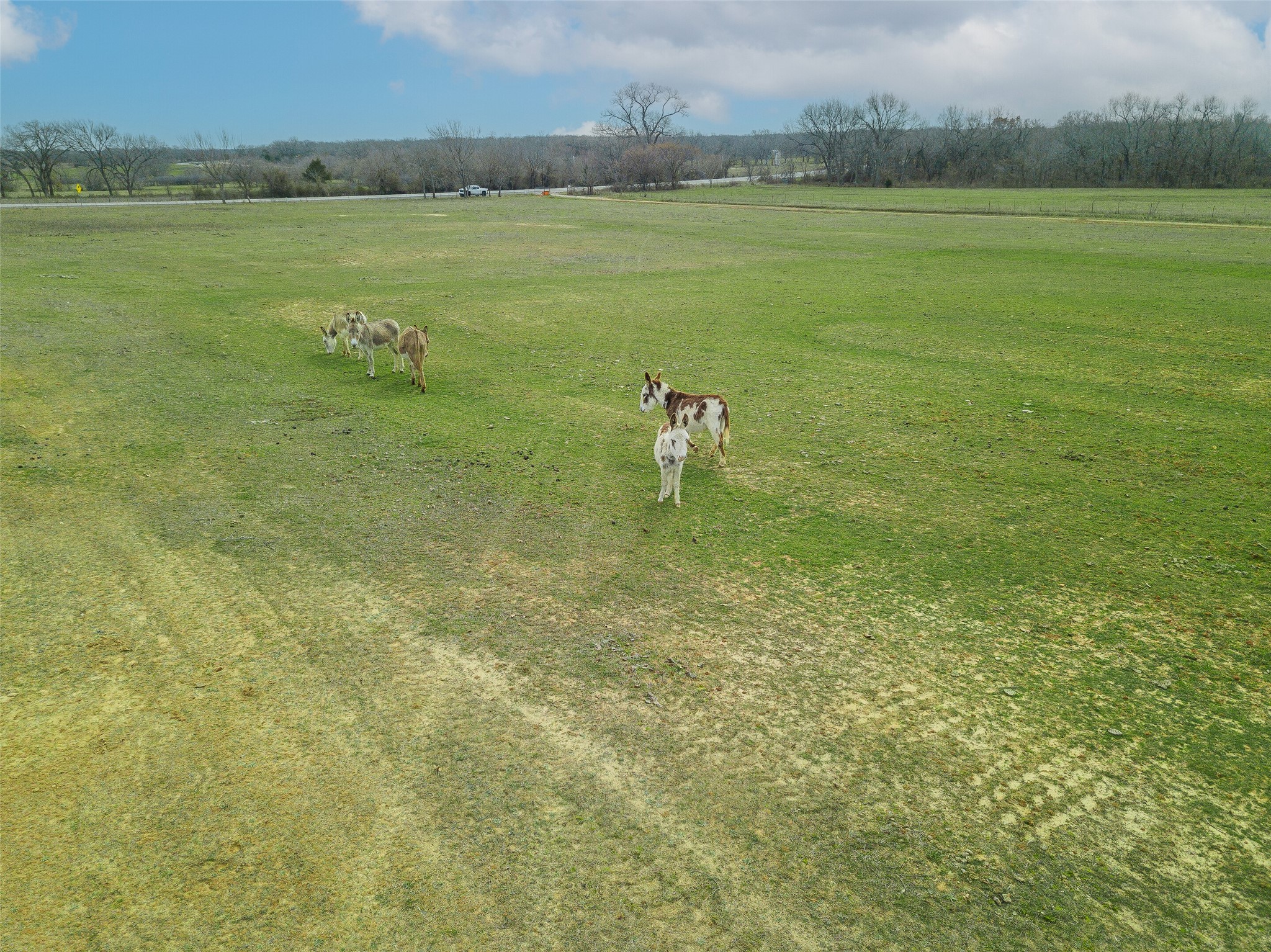2549 N Highway 101 Chico TX 76431