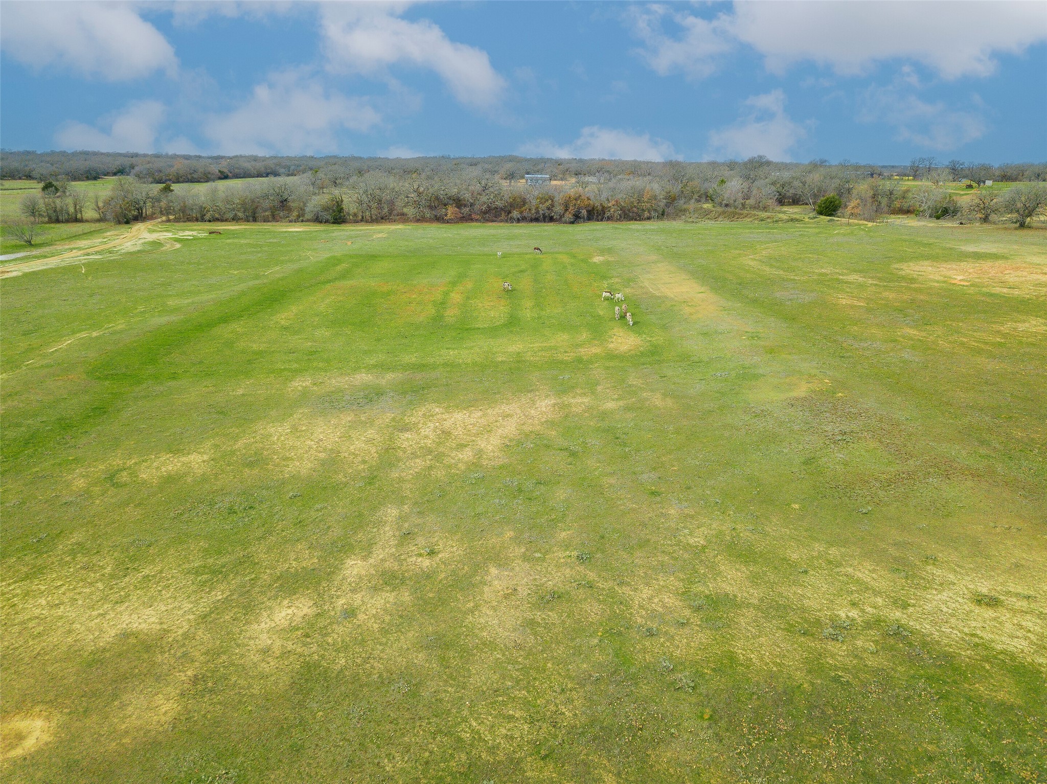 2549 N Highway 101 Chico TX 76431