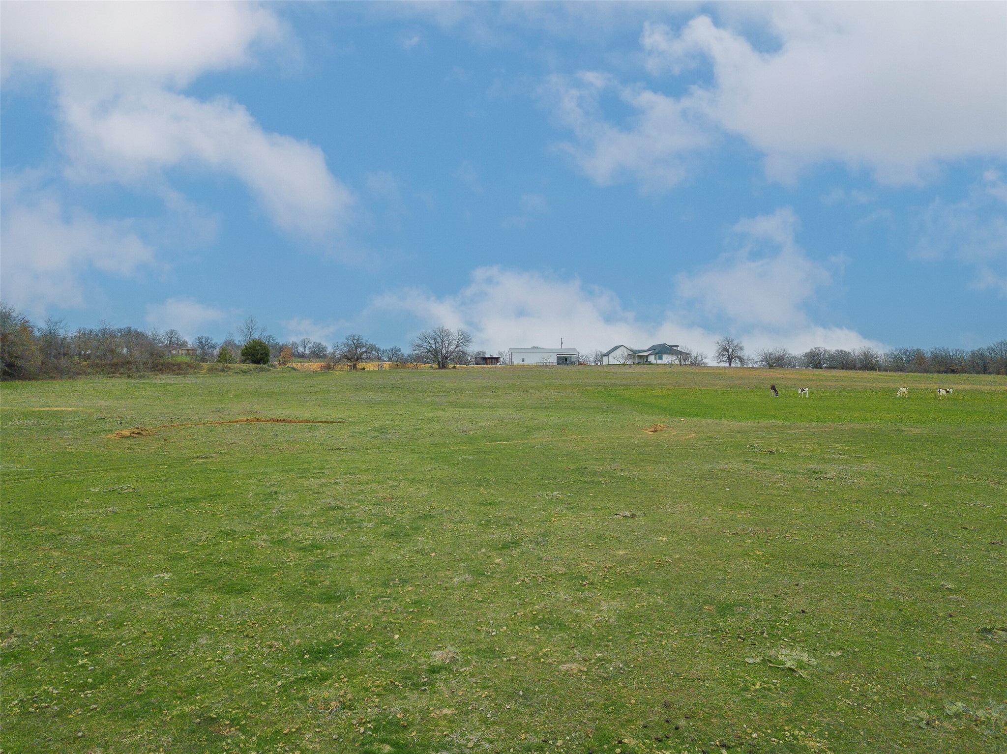 2549 N Highway 101 Chico TX 76431