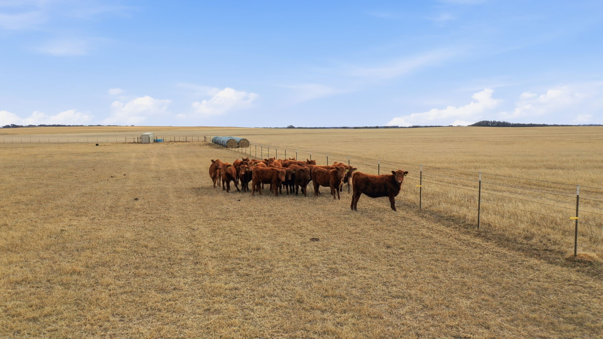2597 Highway 587 De Leon TX 76444
