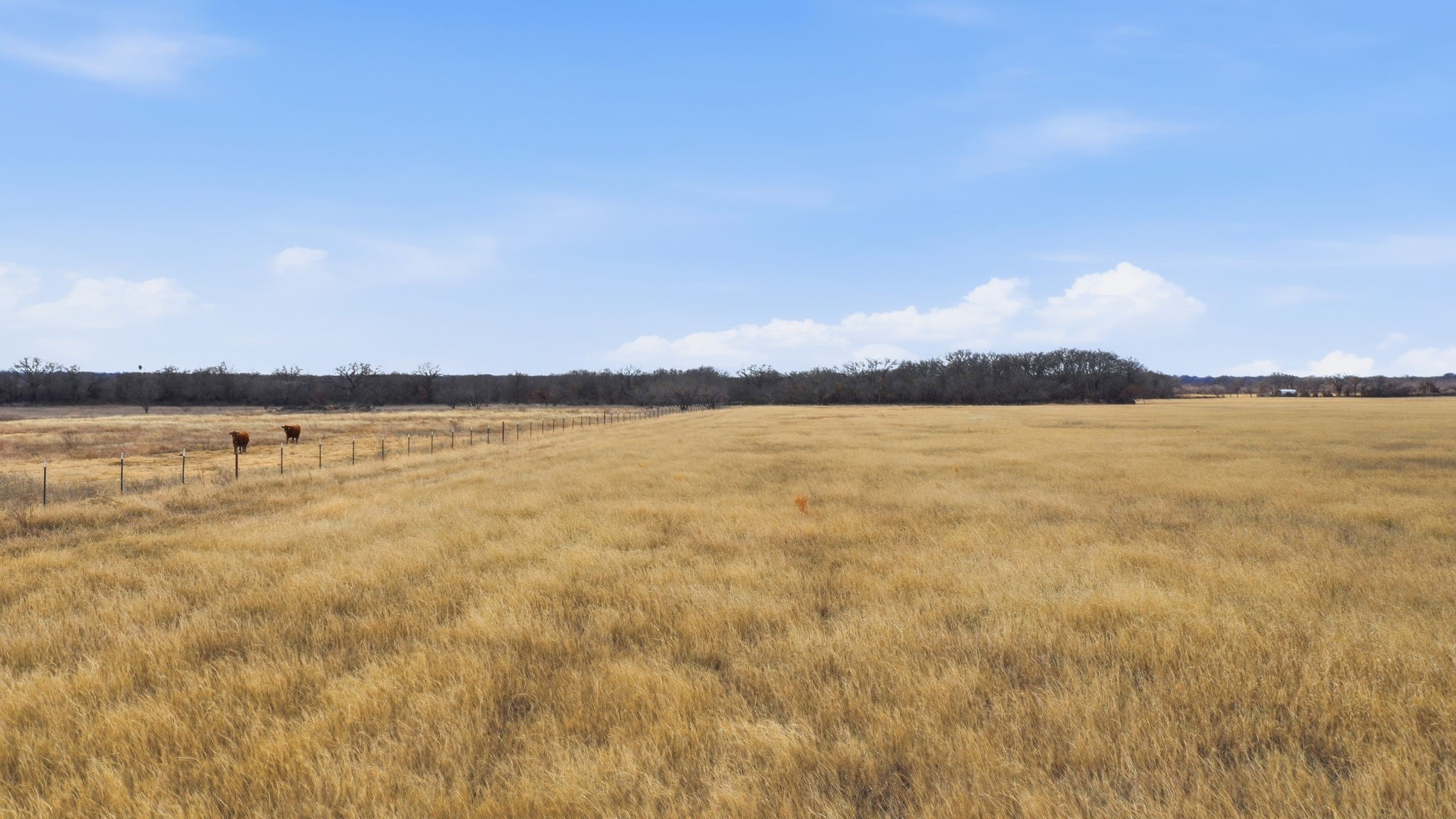 2597 Highway 587 De Leon TX 76444