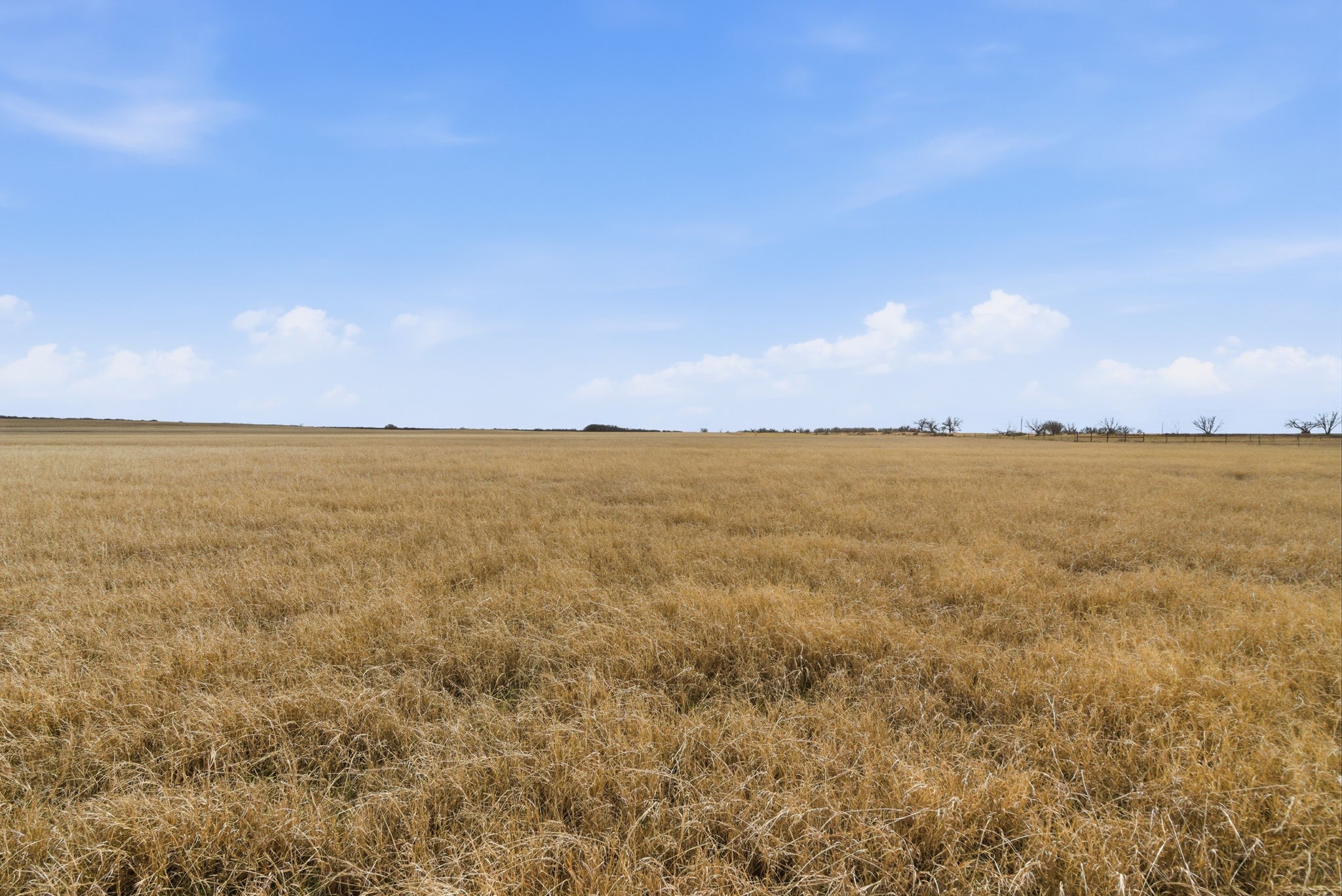 2597 Highway 587 De Leon TX 76444