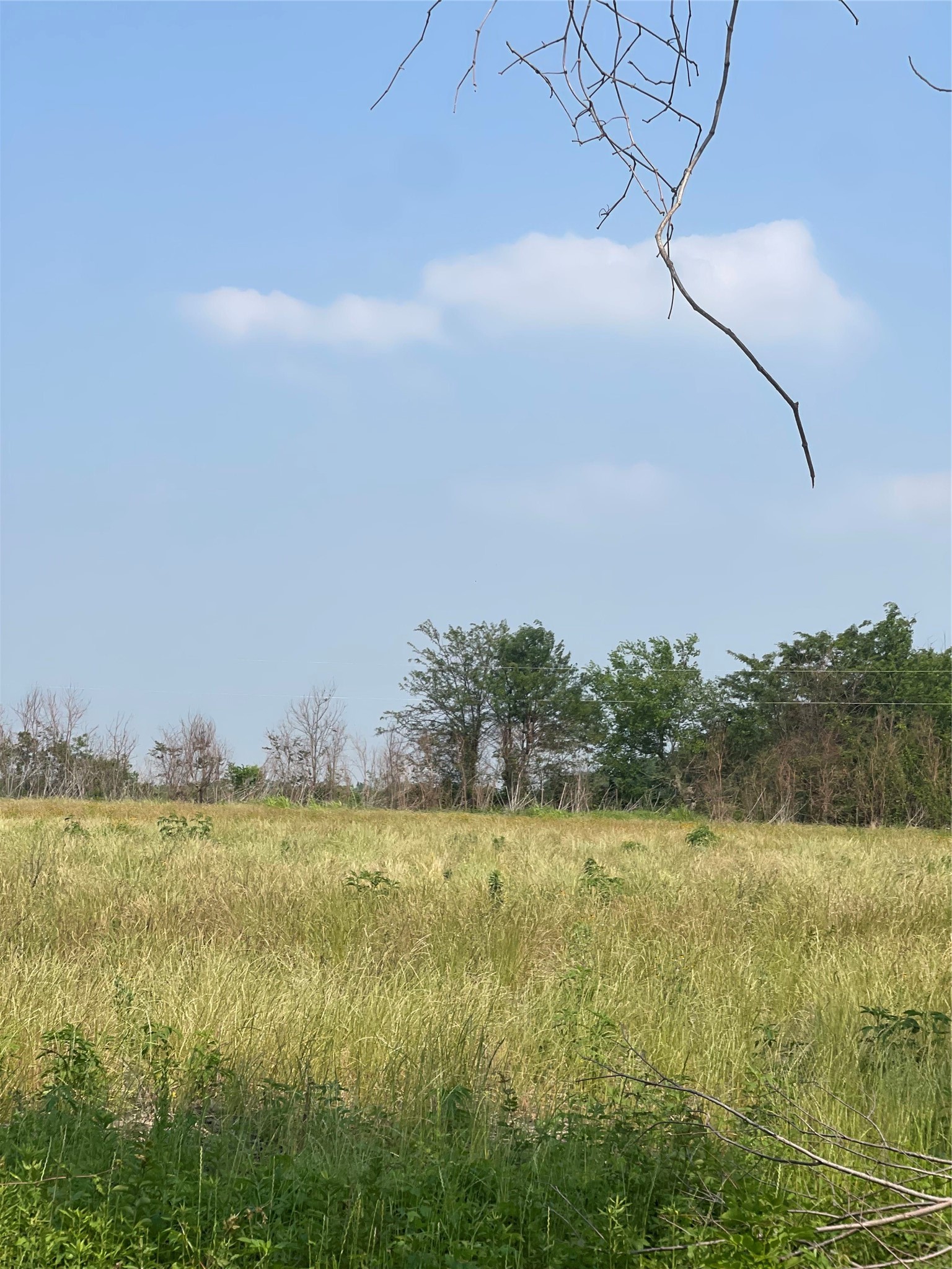 Tbd County Line Commerce TX 75428