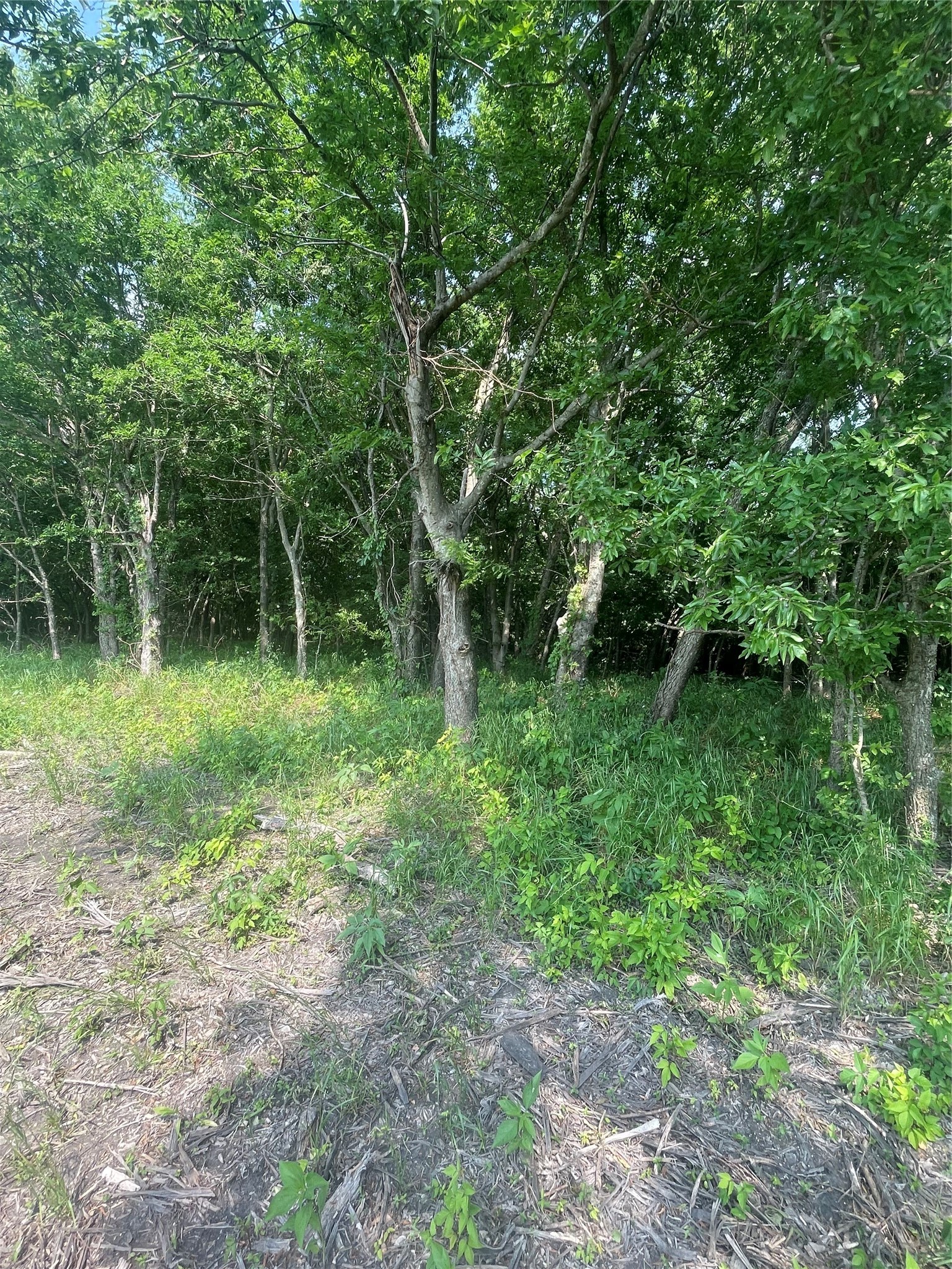 Tbd County Line Commerce TX 75428