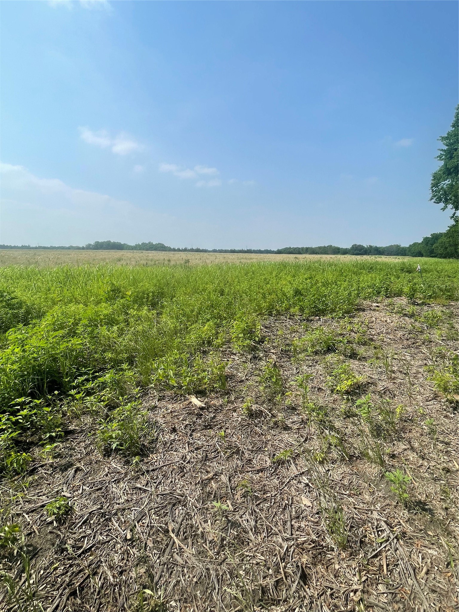 Tbd County Line Commerce TX 75428