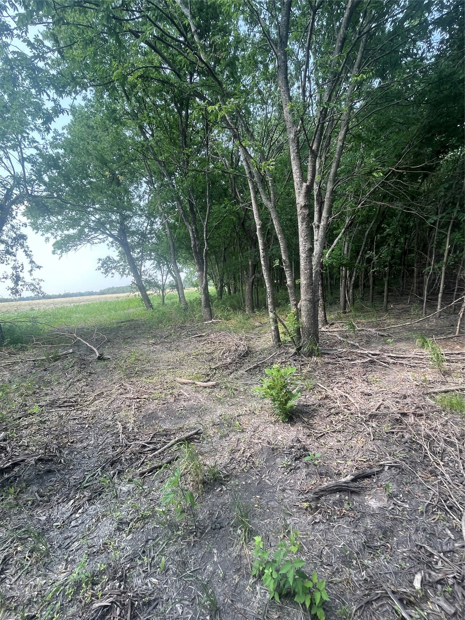 Tbd County Line Commerce TX 75428