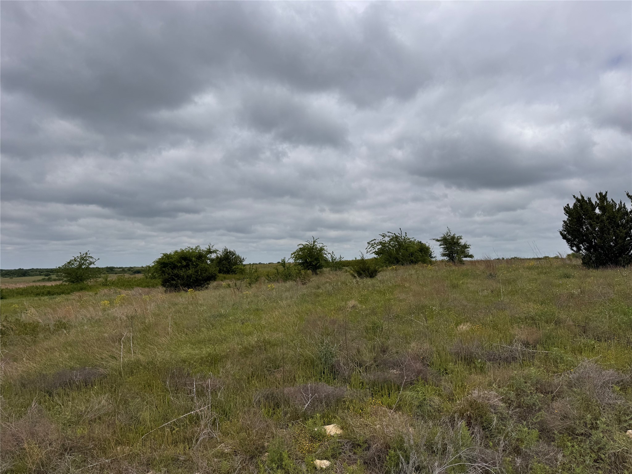 2908 Mattie Ross Road Cresson TX 76035