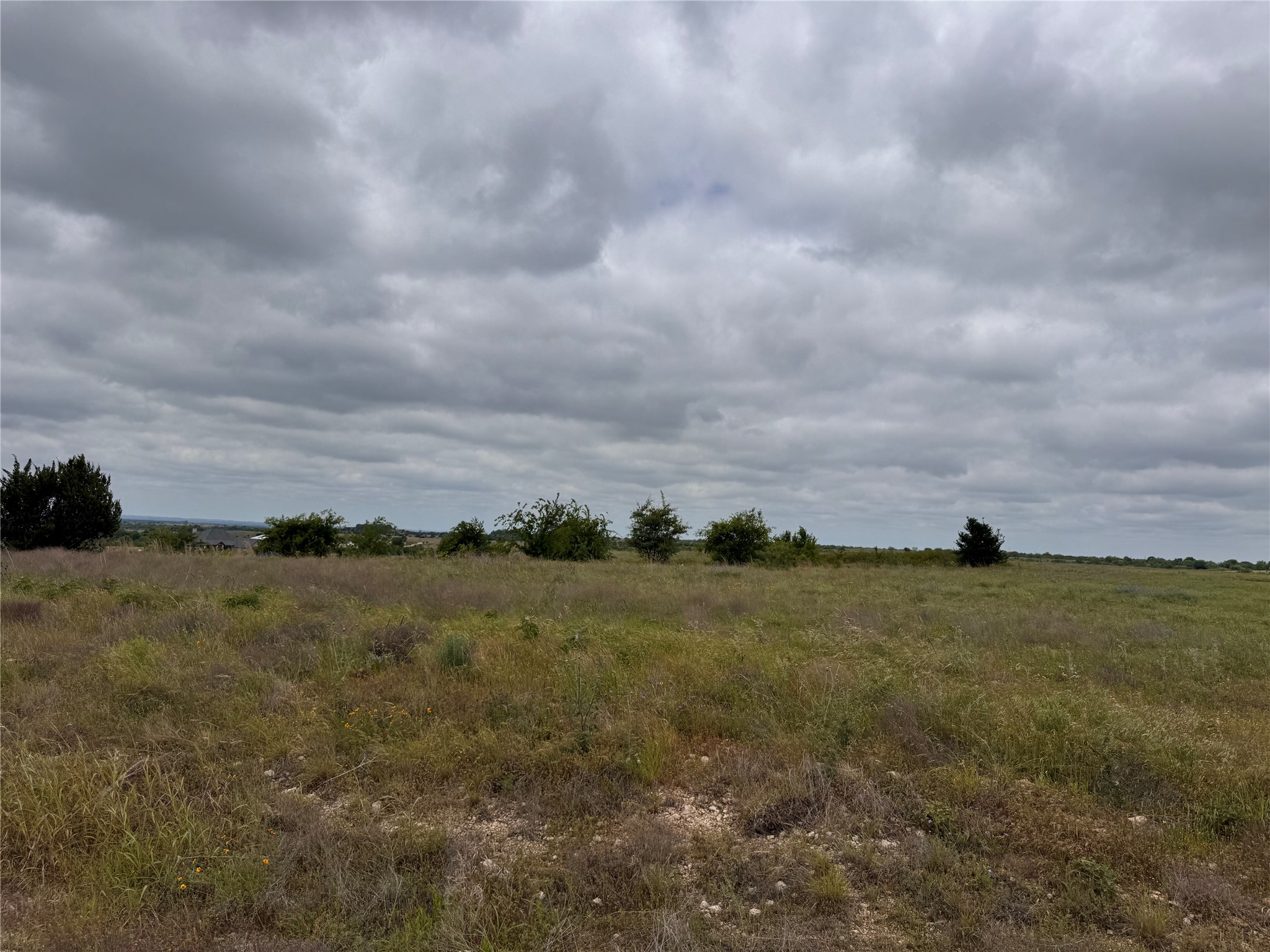 2908 Mattie Ross Road Cresson TX 76035