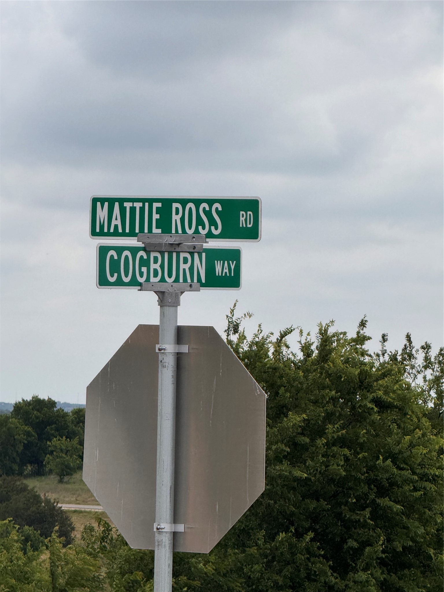 2908 Mattie Ross Road Cresson TX 76035