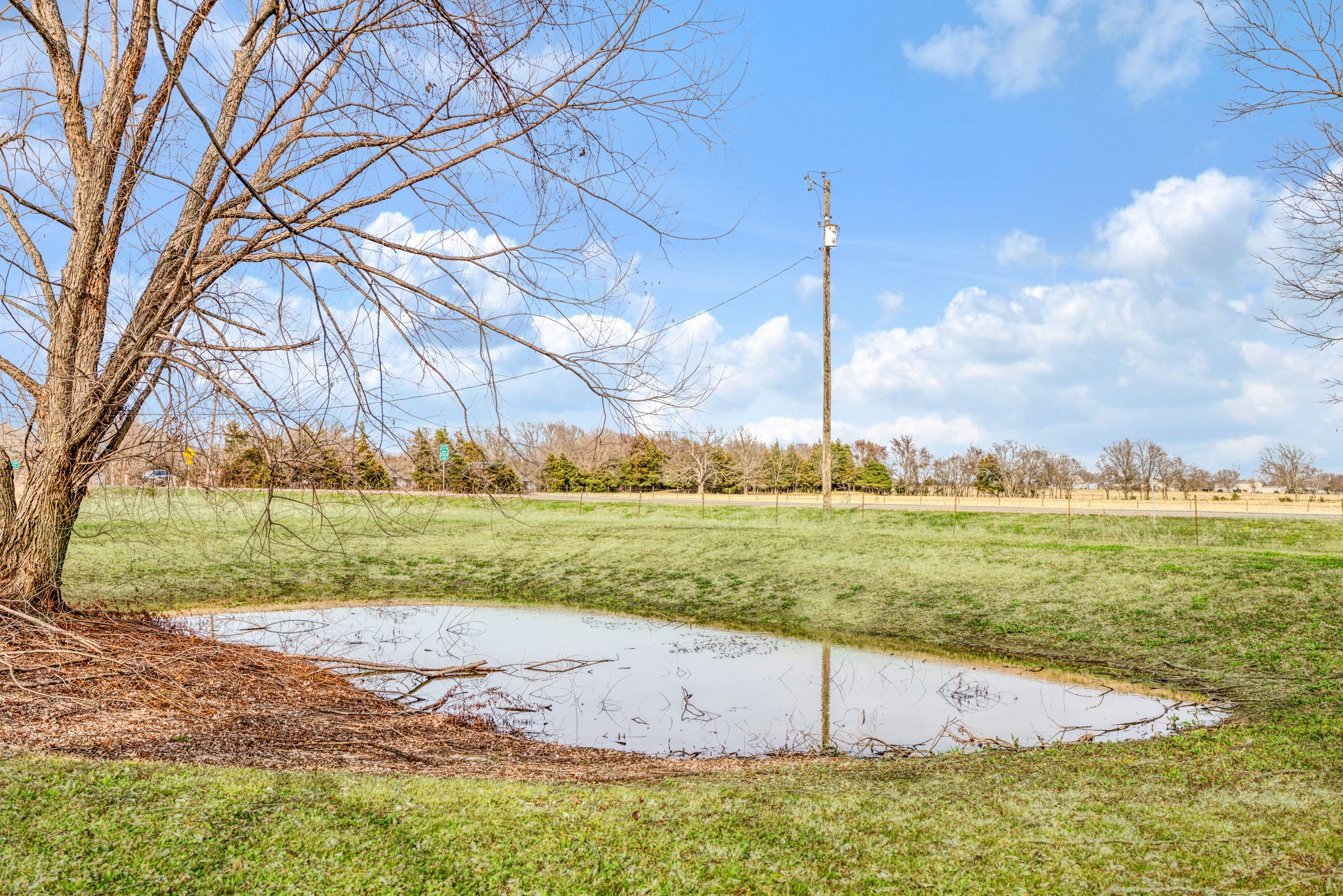 4411 Fm-100 Honey Grove TX 75446