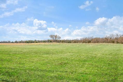 4411 Fm-100 Honey Grove TX 75446