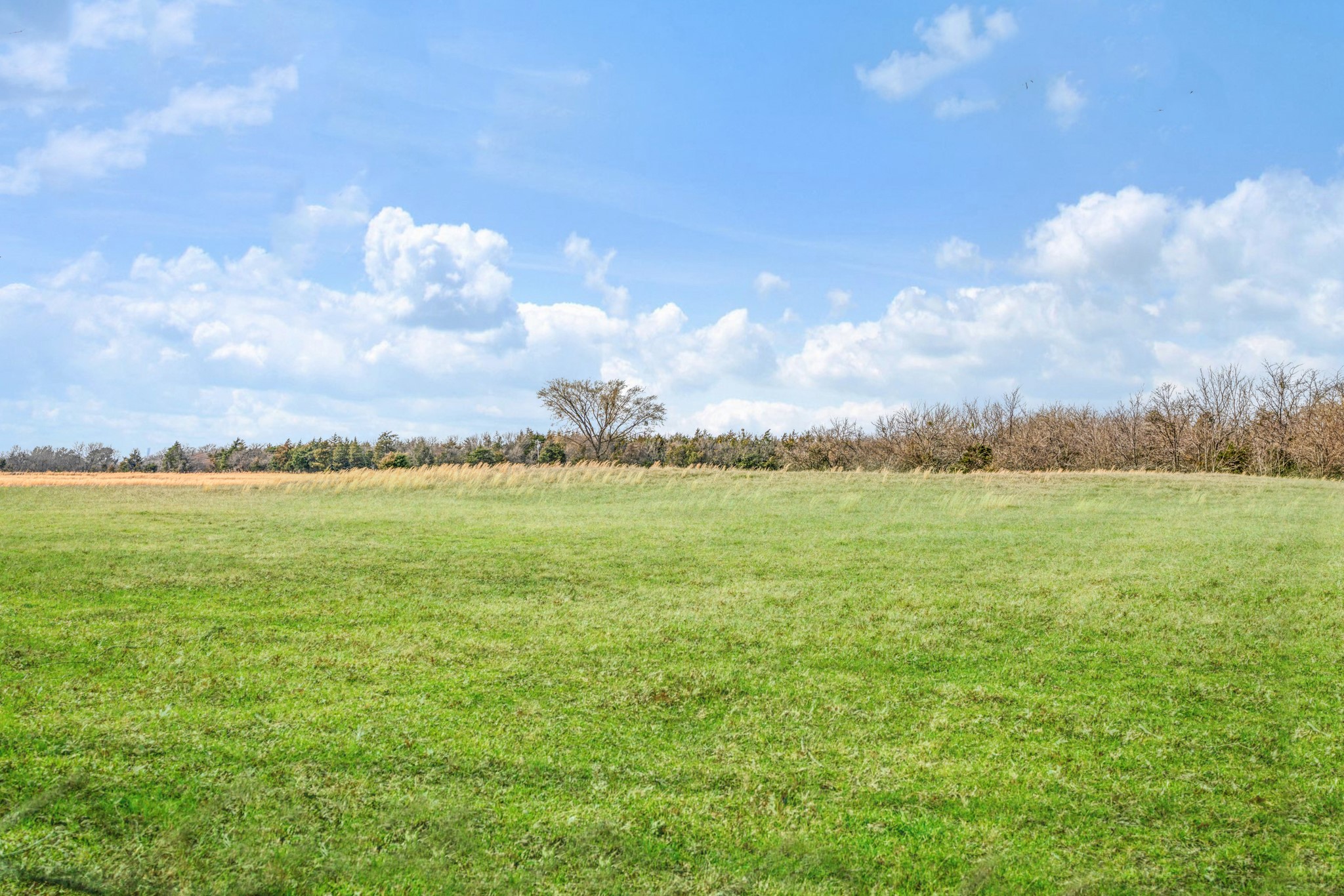 4411 Fm-100 Honey Grove TX 75446
