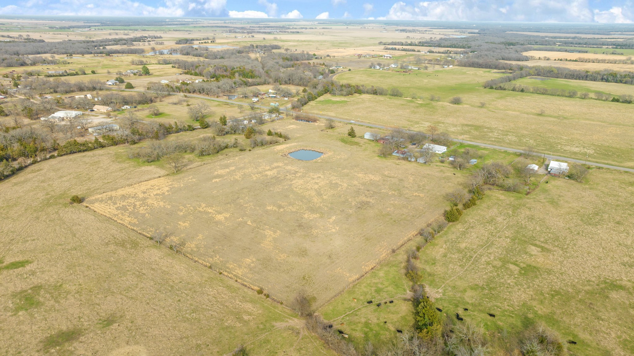 4411 Fm-100 Honey Grove TX 75446
