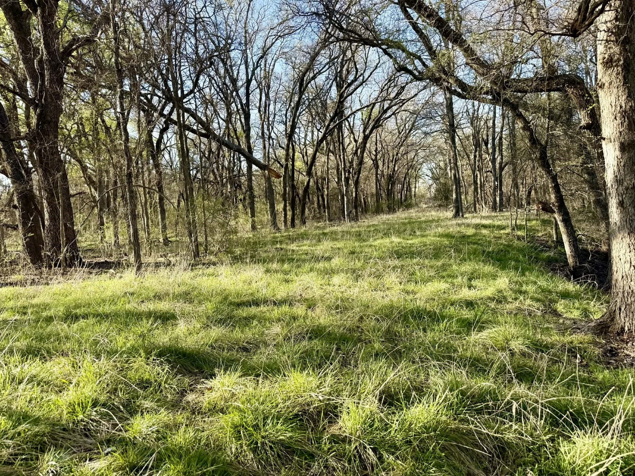Tbd 20.02 Acres Cr 328 Dublin TX 76446
