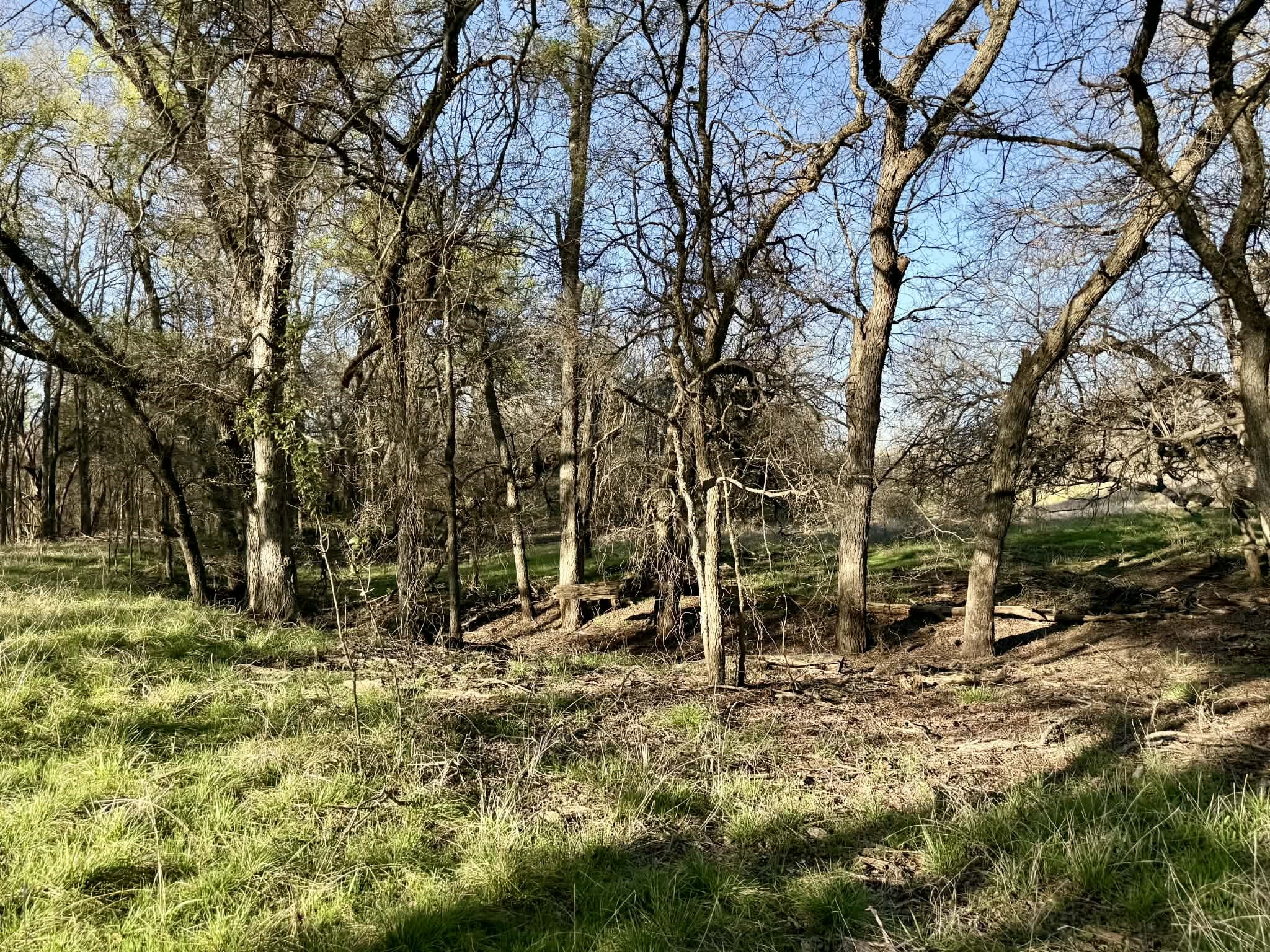 Tbd 20.02 Acres Cr 328 Dublin TX 76446