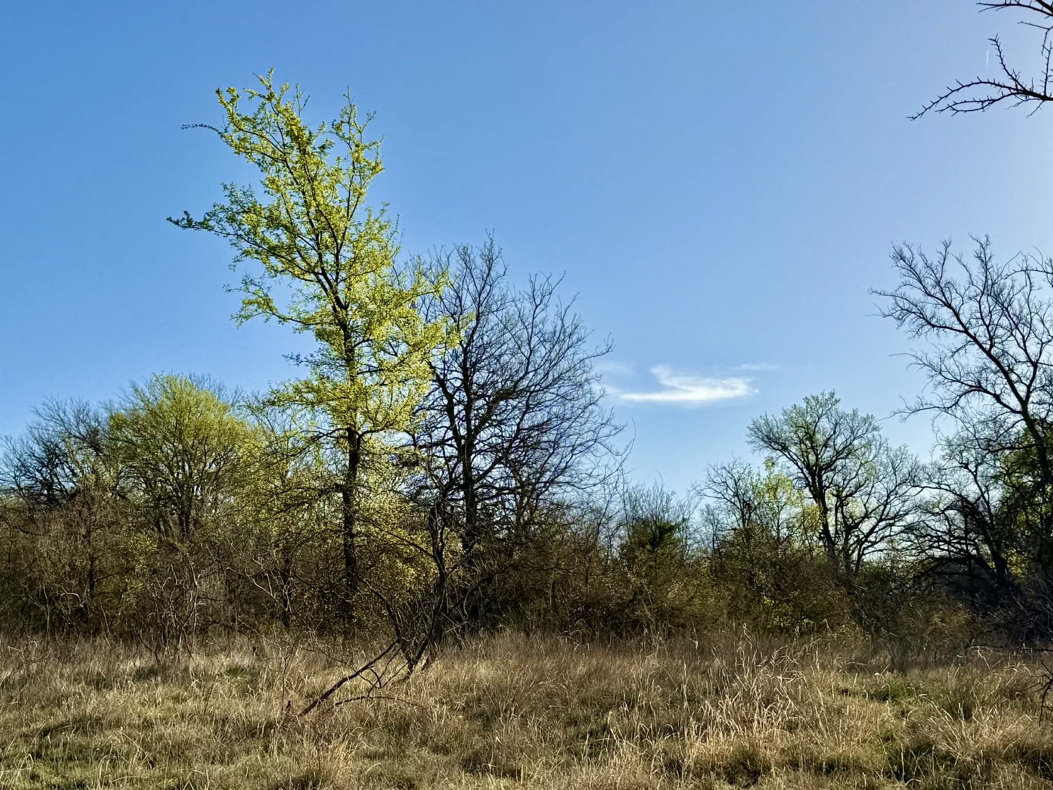 Tbd 20.02 Acres Cr 328 Dublin TX 76446